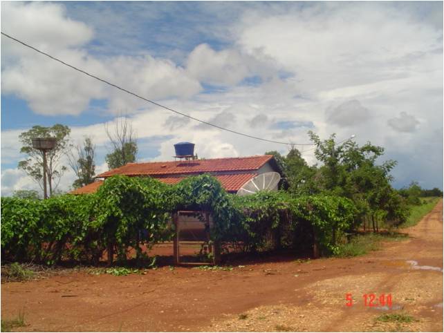 F – 53 FAZENDA 1.242HA CORINTO