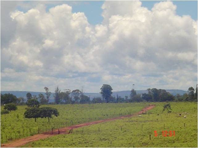 F – 53 FAZENDA 1.242HA CORINTO