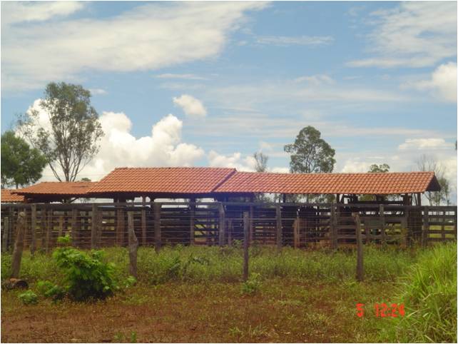 F – 53 FAZENDA 1.242HA CORINTO