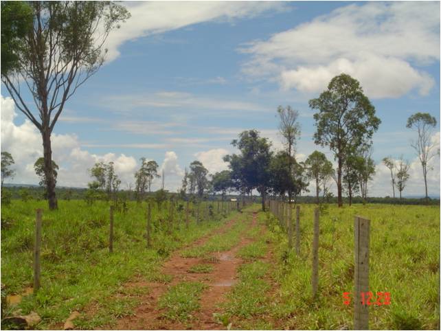 F – 53 FAZENDA 1.242HA CORINTO