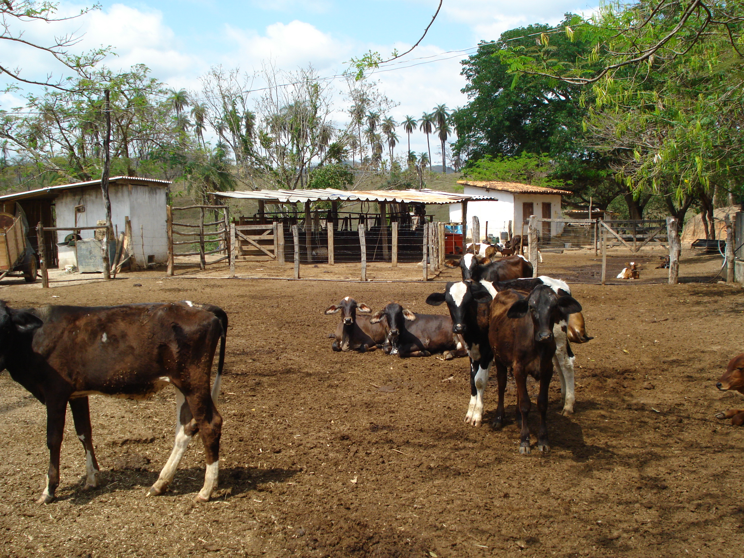 F – 54 FAZENDA 50HAC SETE LAGOAS – MG