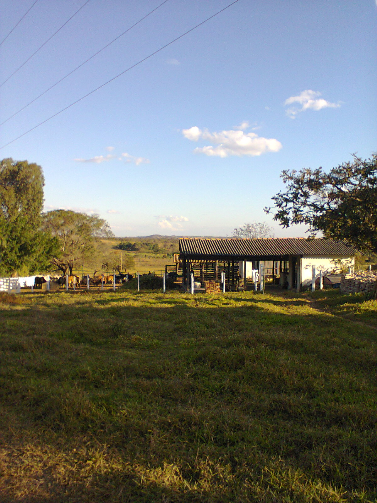 F-56 Fazenda 205hectares