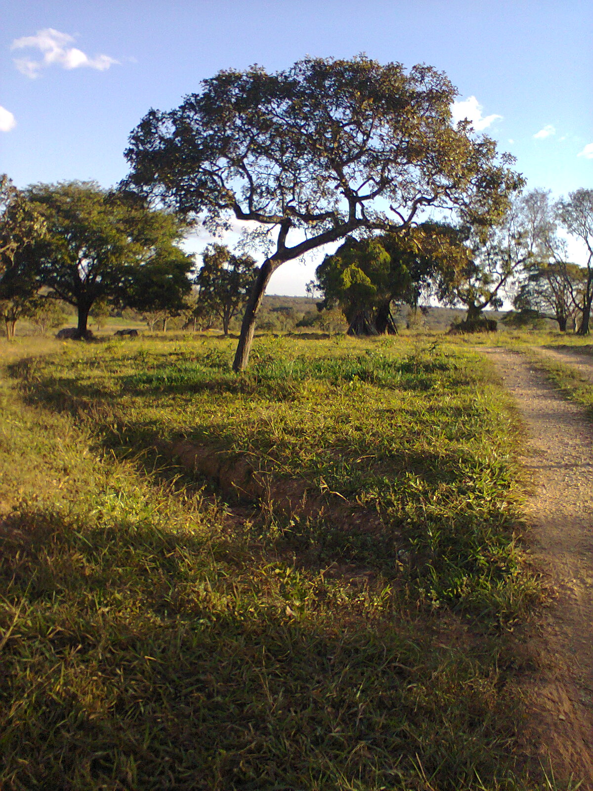 F-56 Fazenda 205hectares