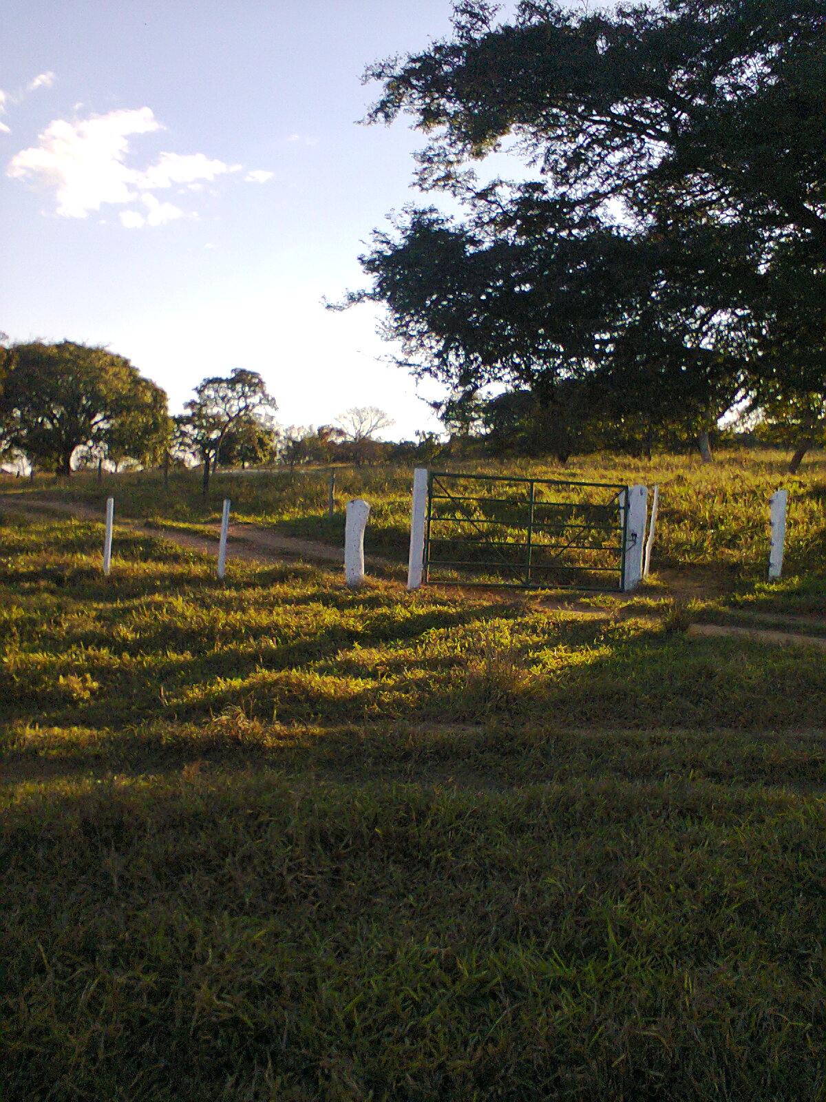 F-56 Fazenda 205hectares