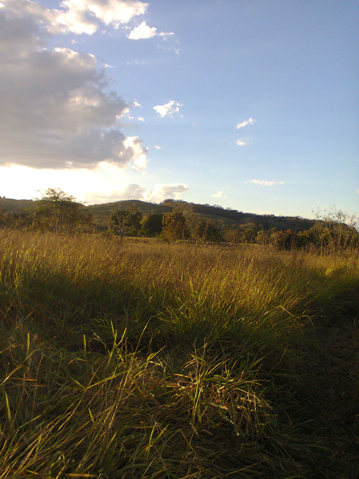 F-56 Fazenda 205hectares