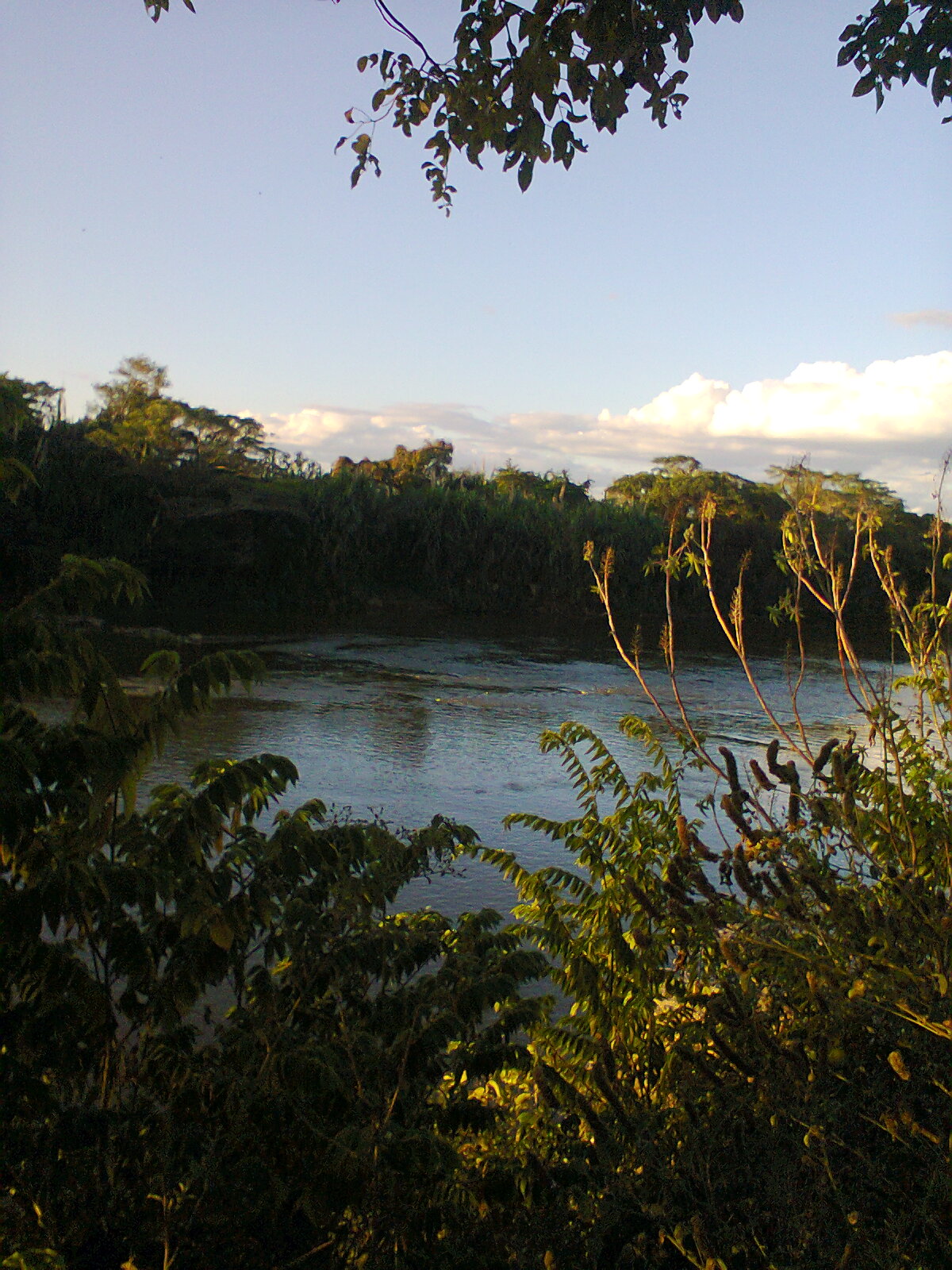 F-56 Fazenda 205hectares