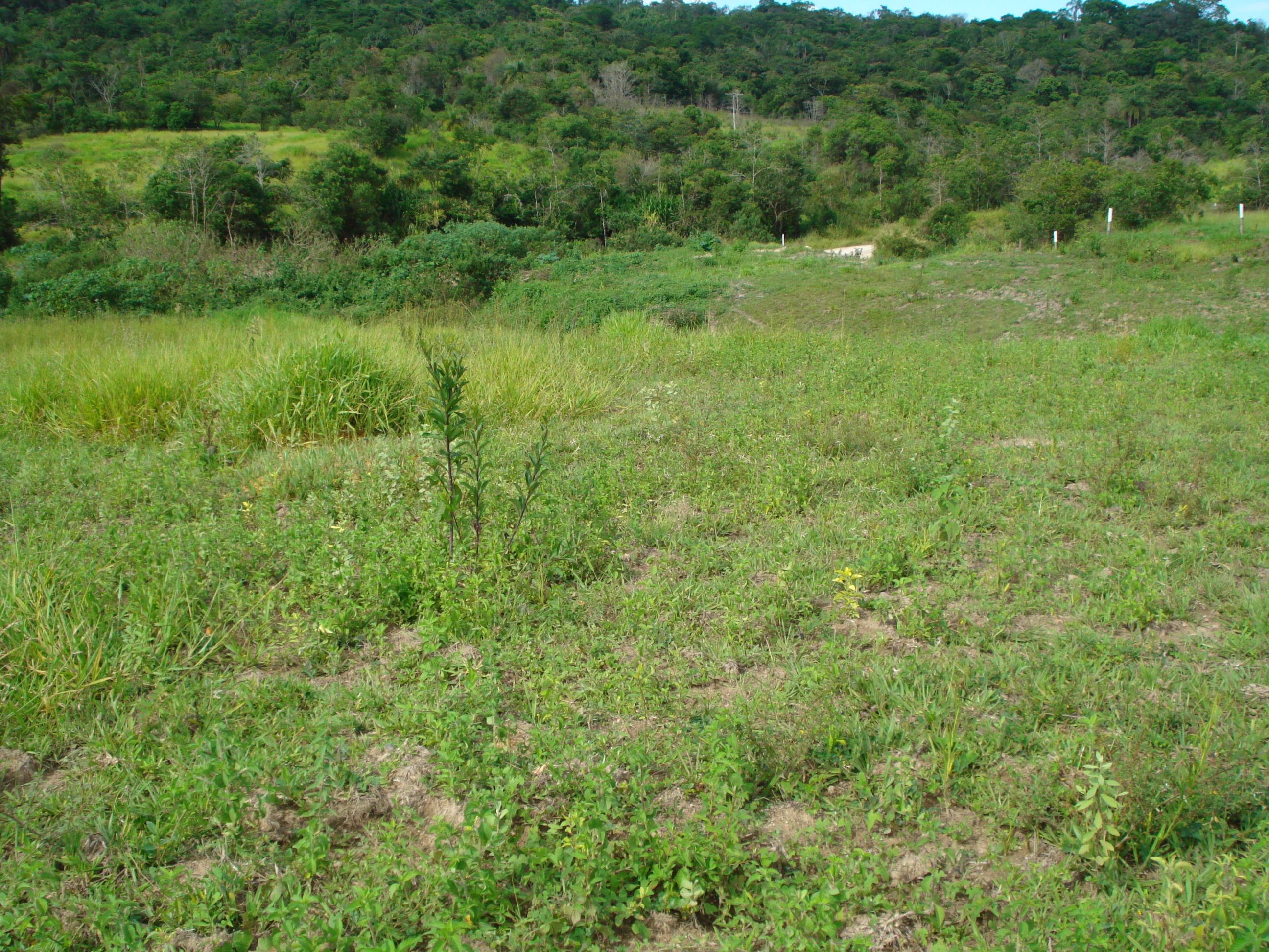 T-12 Terreno Pedro Leopoldo Matos