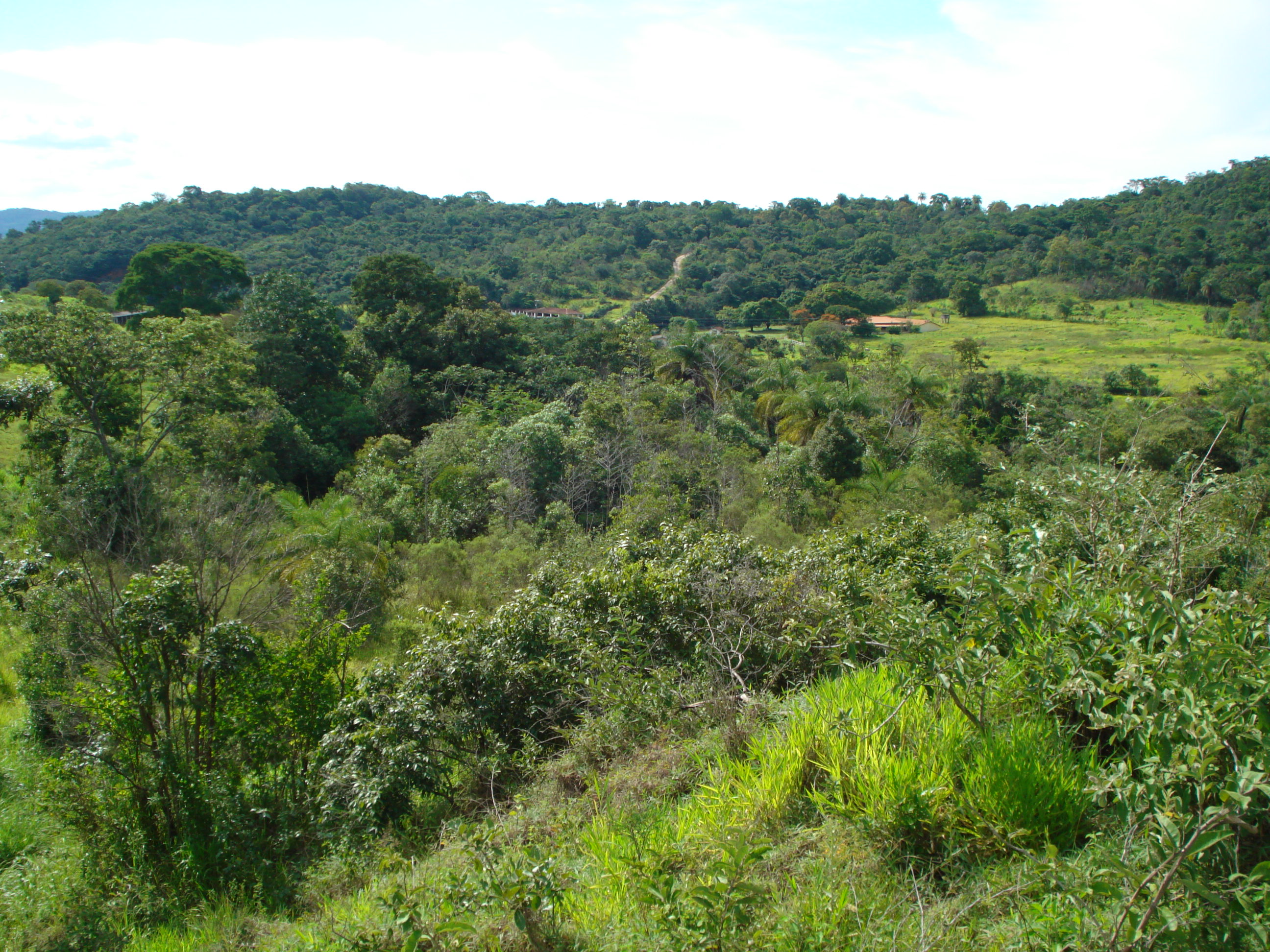 T-12 Terreno Pedro Leopoldo Matos