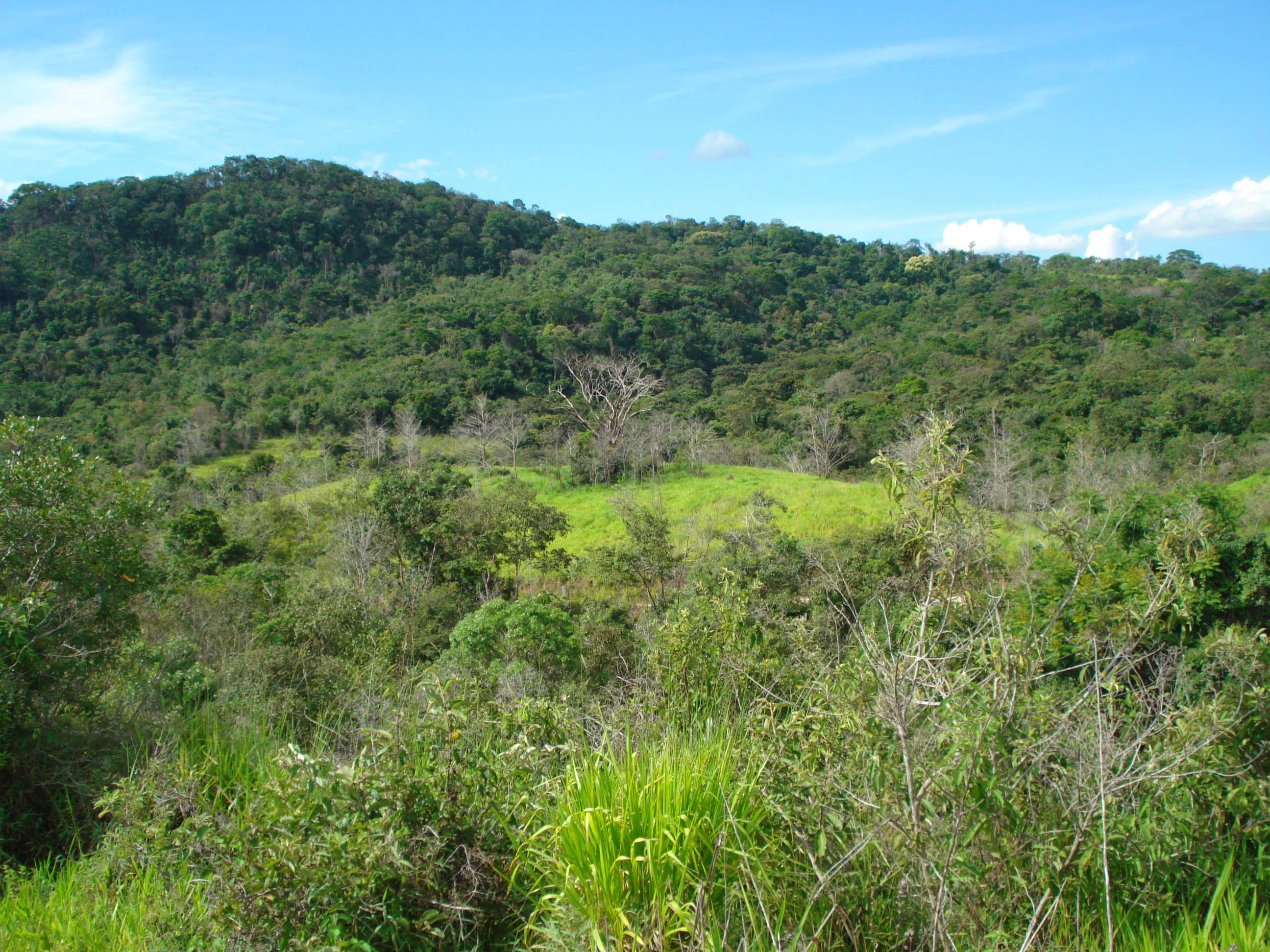 T-12 Terreno Pedro Leopoldo Matos