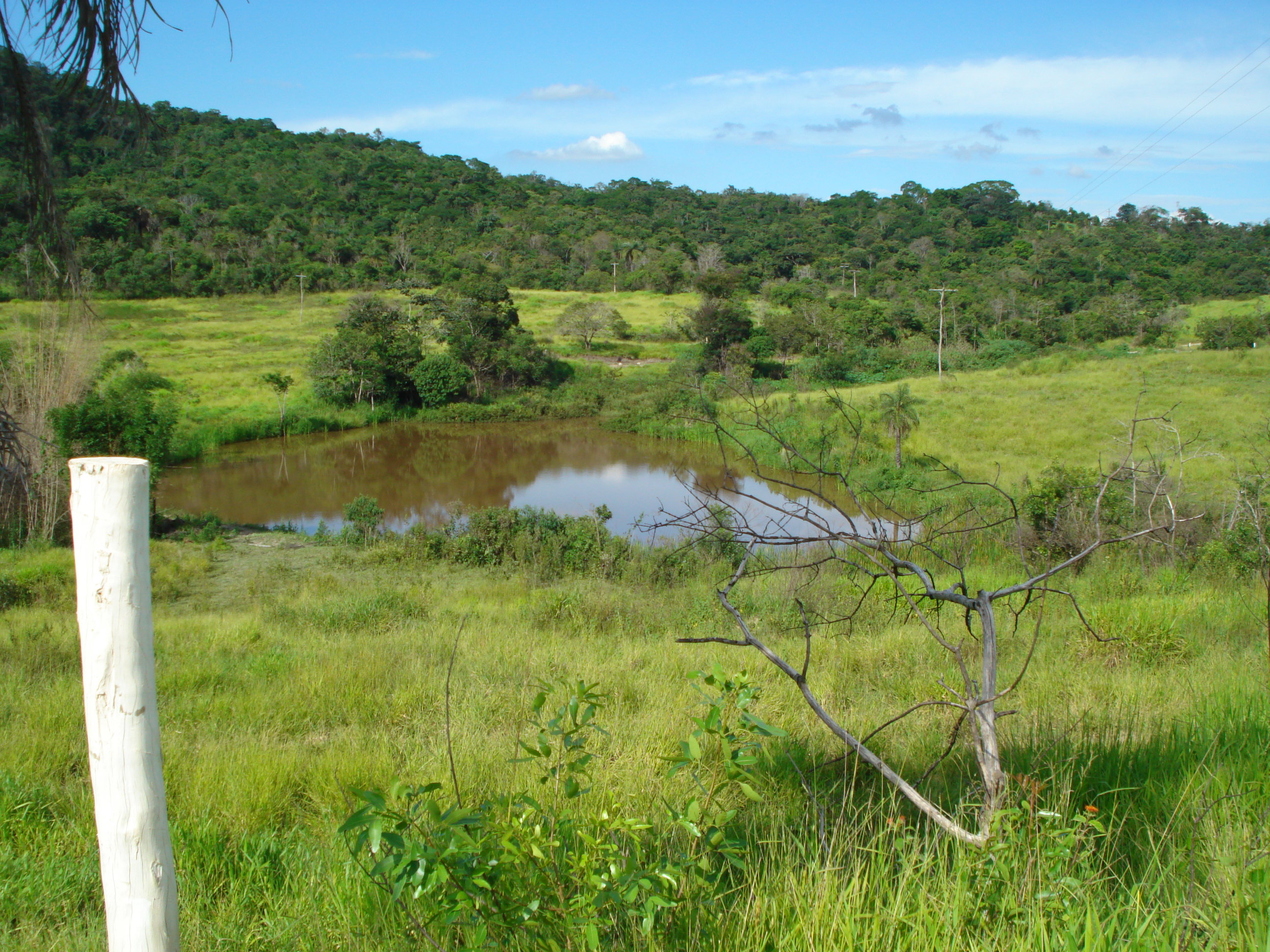 T-12 Terreno Pedro Leopoldo Matos