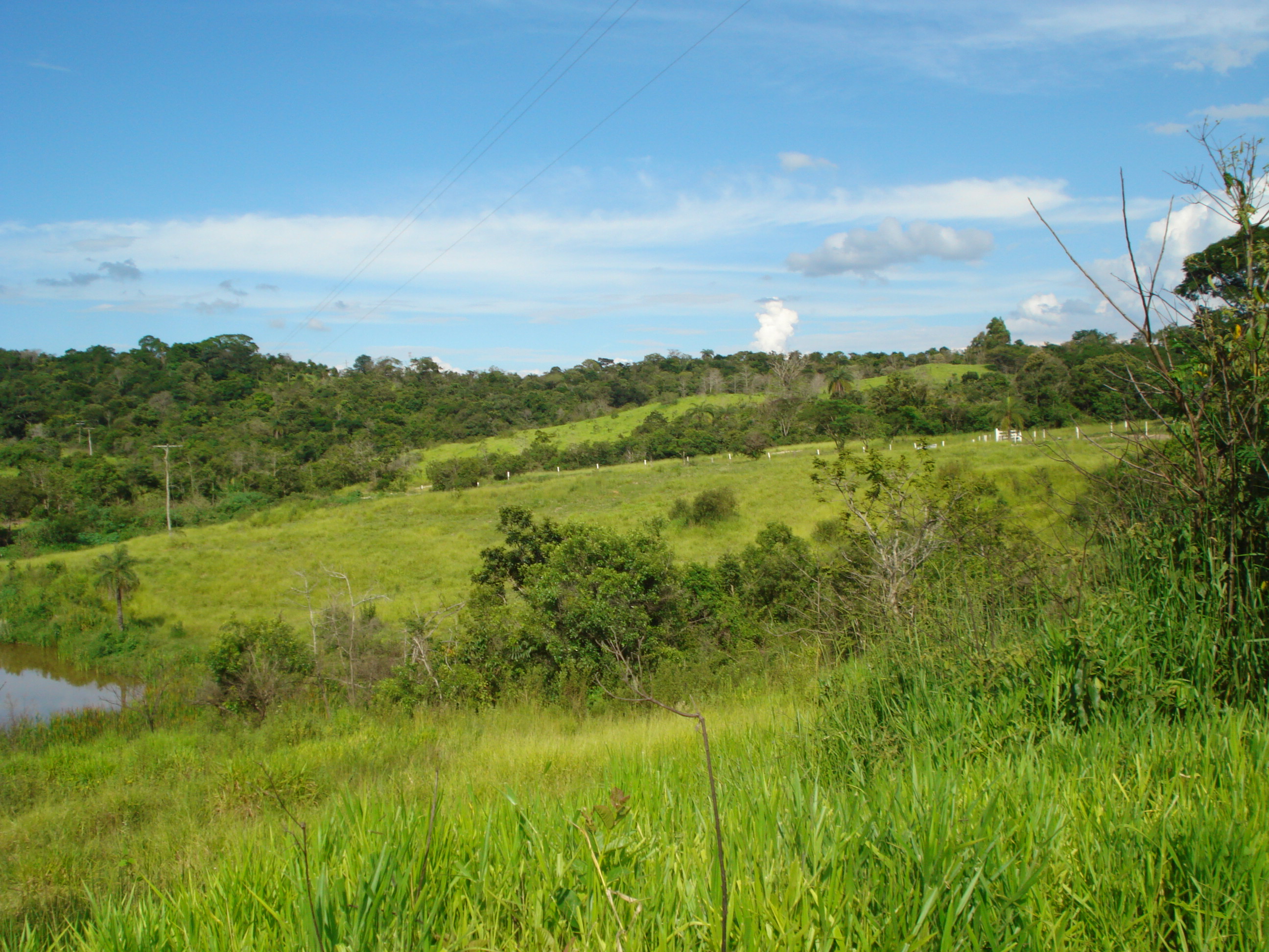 T-12 Terreno Pedro Leopoldo Matos