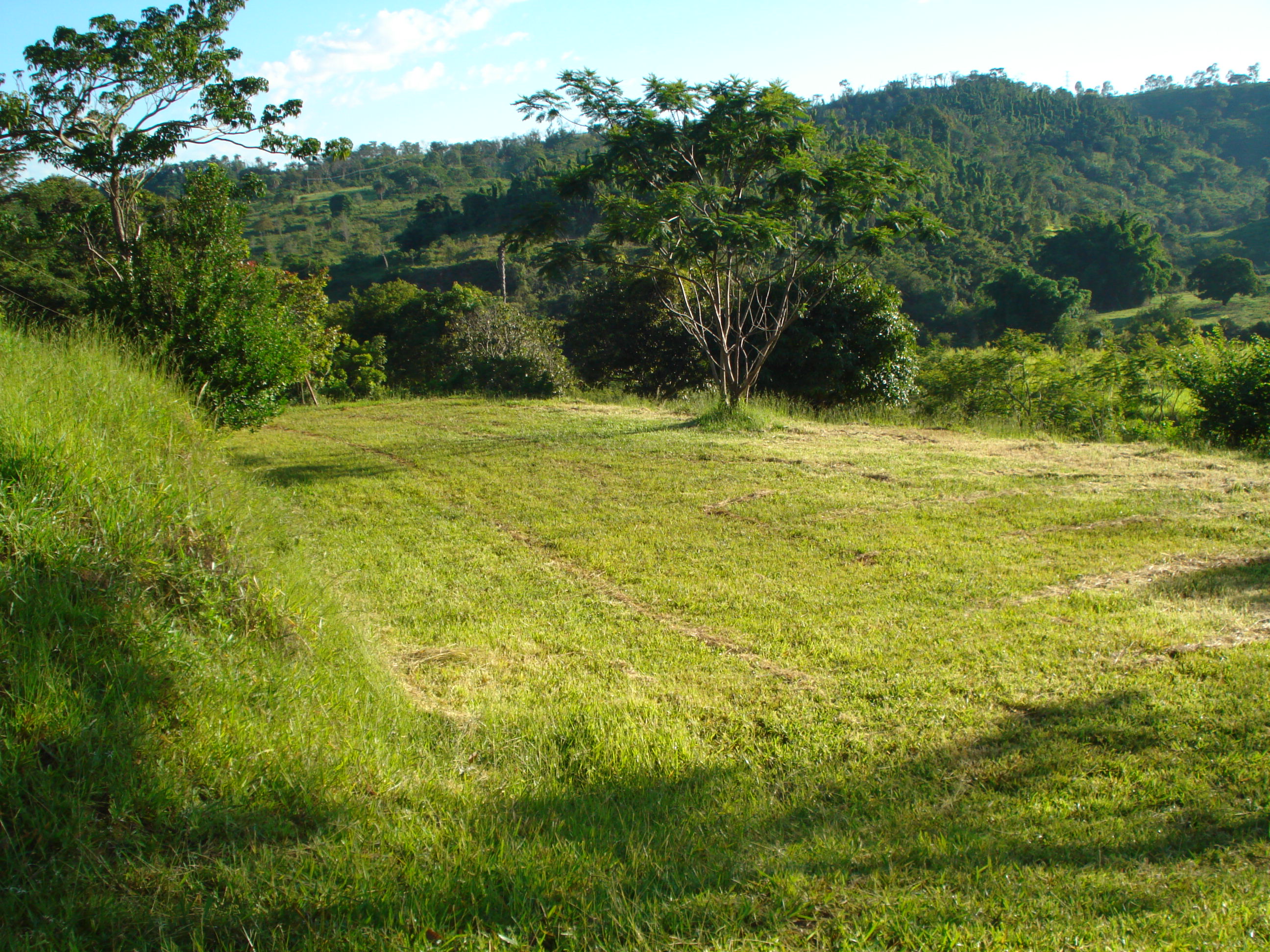 S-22 Sitio 7ha Pedro Leopoldo (Matos)