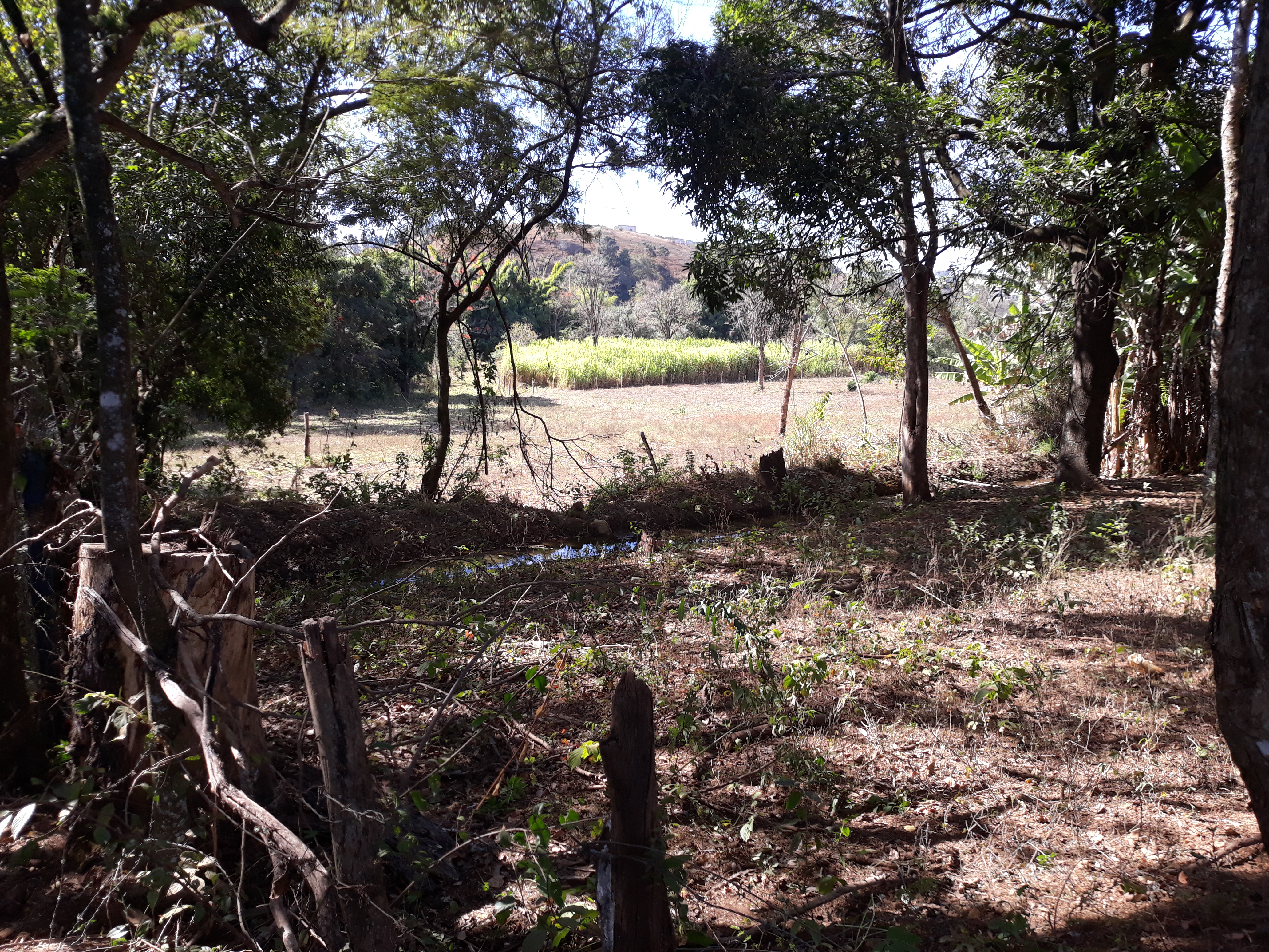 S-23 Sitio 13,5ha Matozinhos