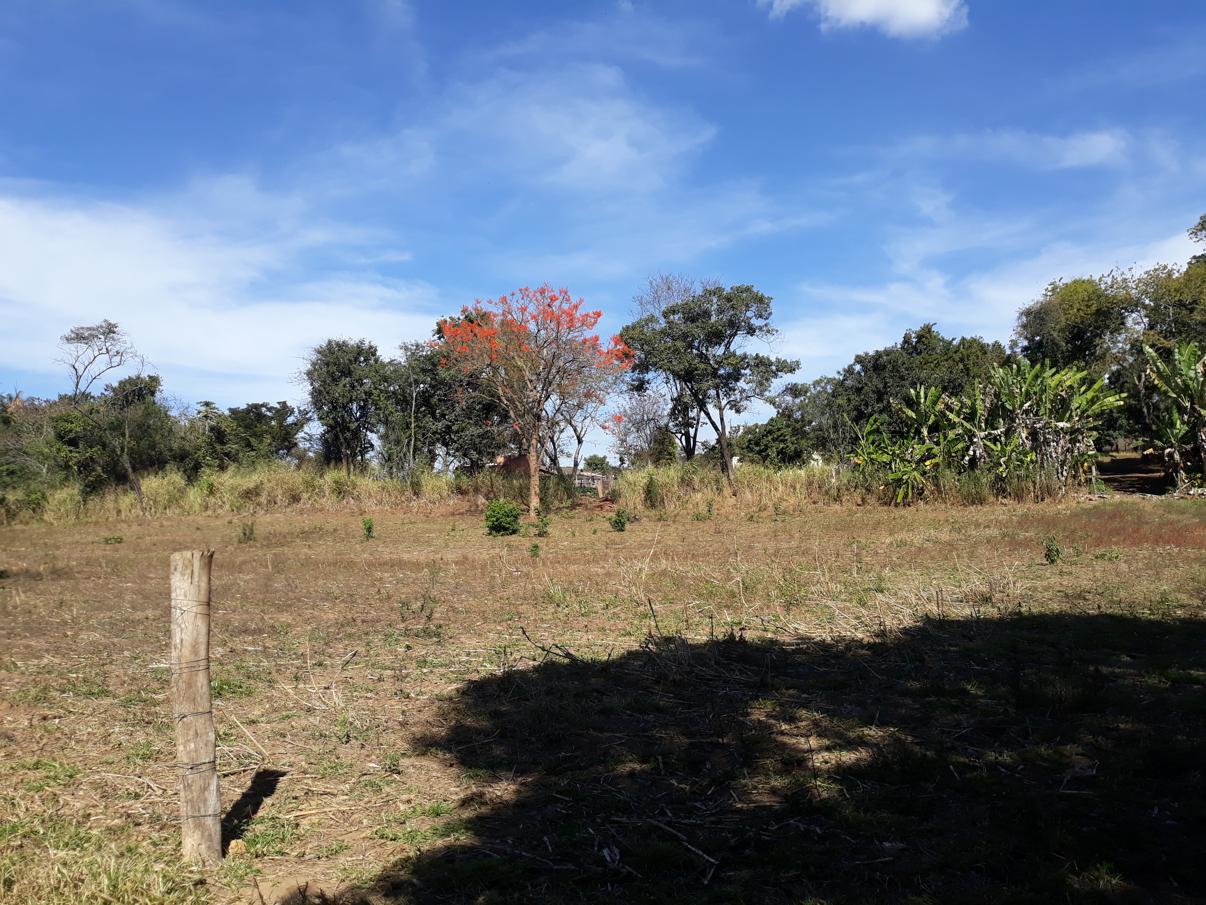 S-23 Sitio 13,5ha Matozinhos