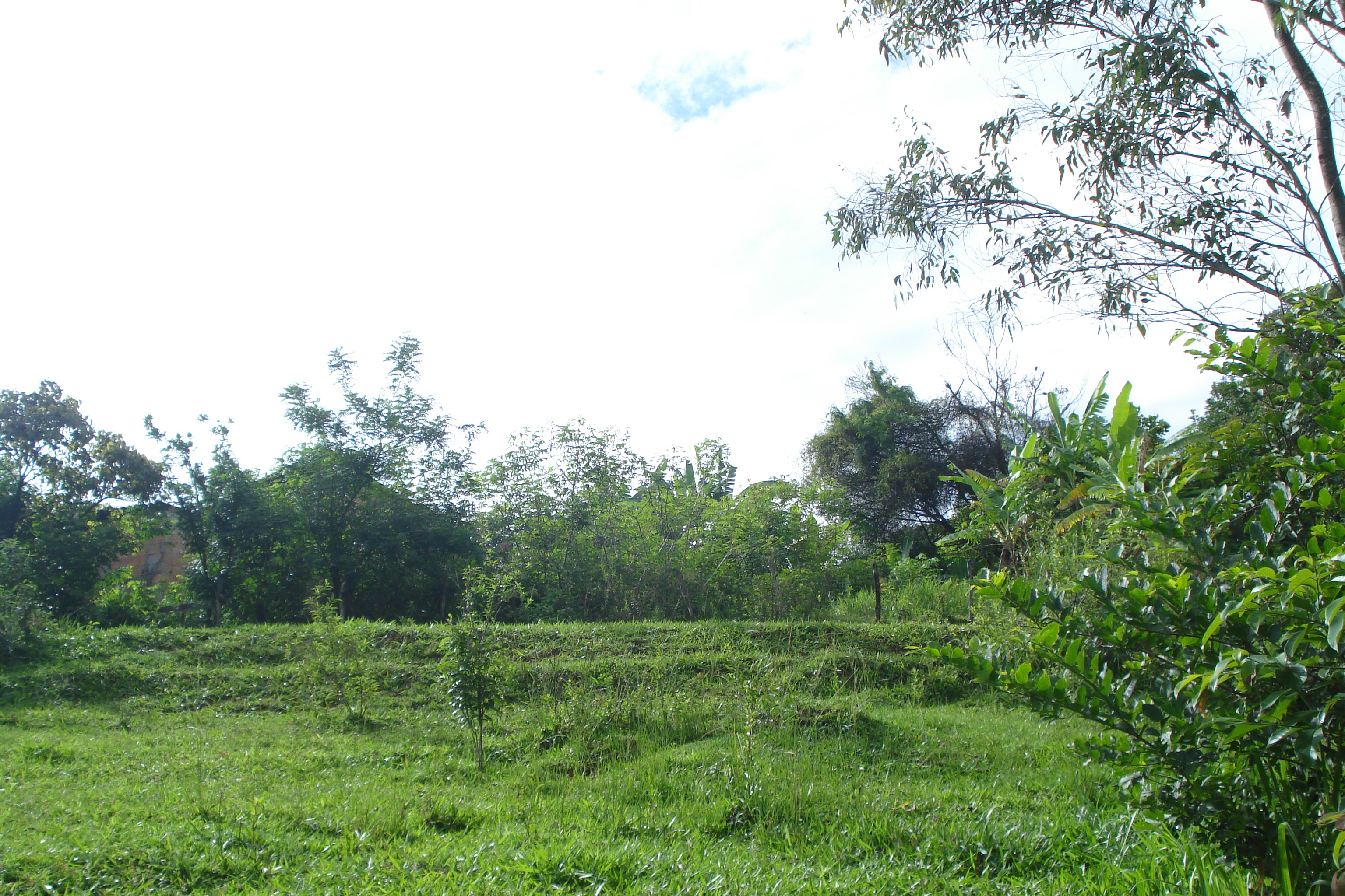 F-61 Fazenda 25 hectares Pedro Leopoldo MG