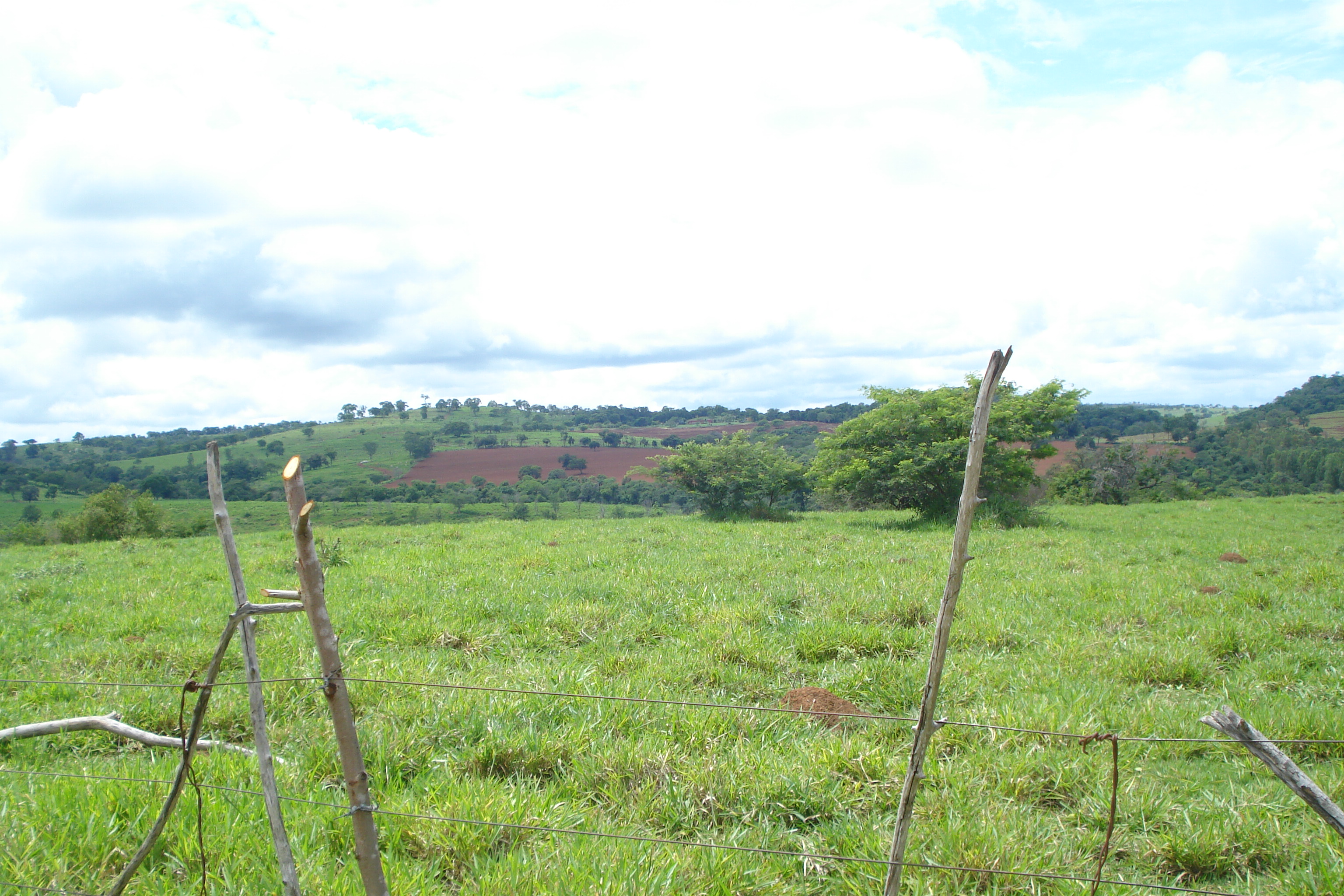 F-61 Fazenda 25 hectares Pedro Leopoldo MG