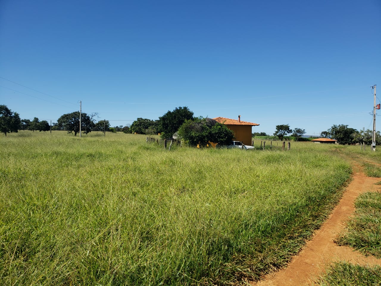 F-62 FAZENDA CURVELO 230 HA