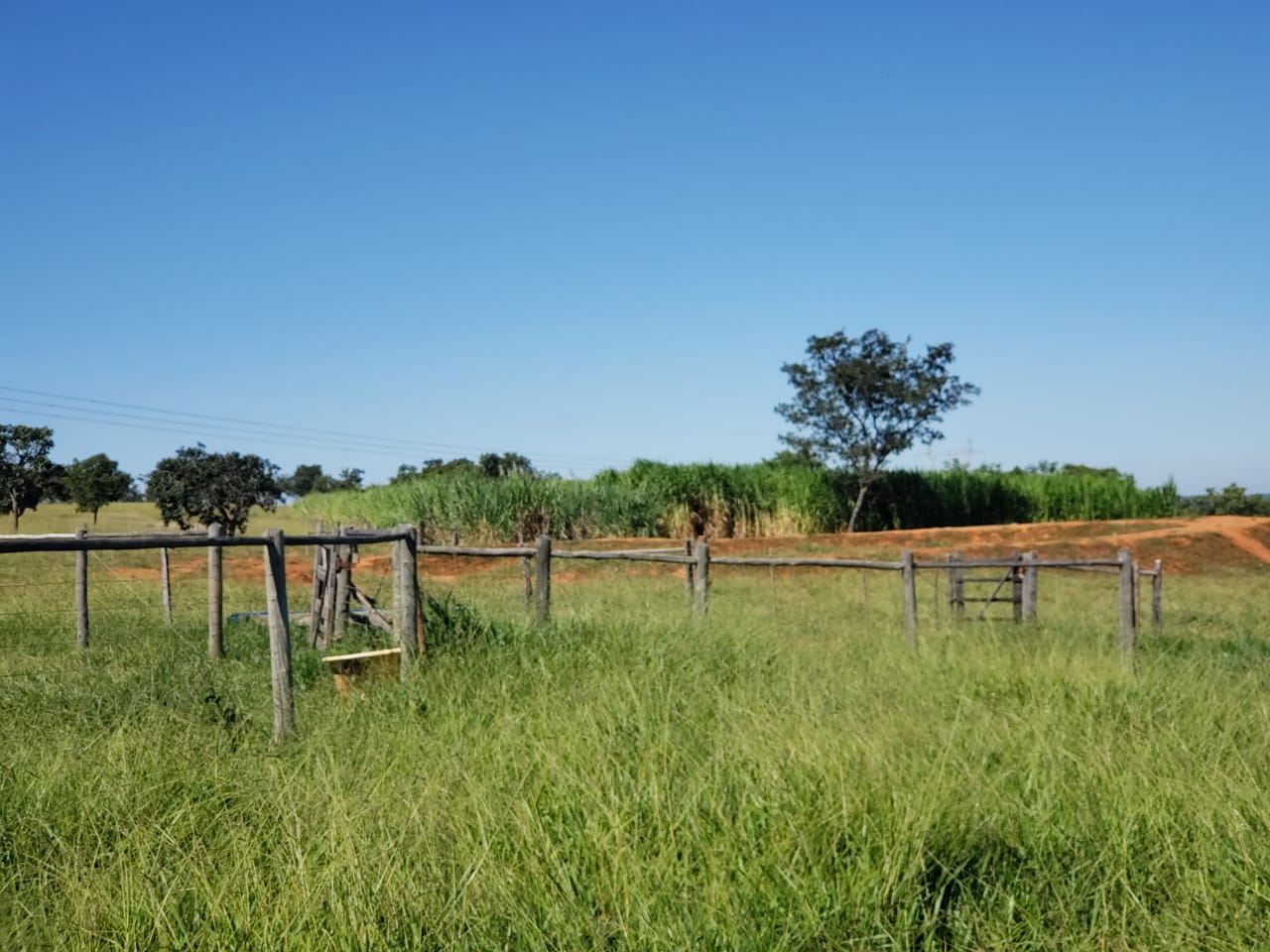 F-62 FAZENDA CURVELO 230 HA