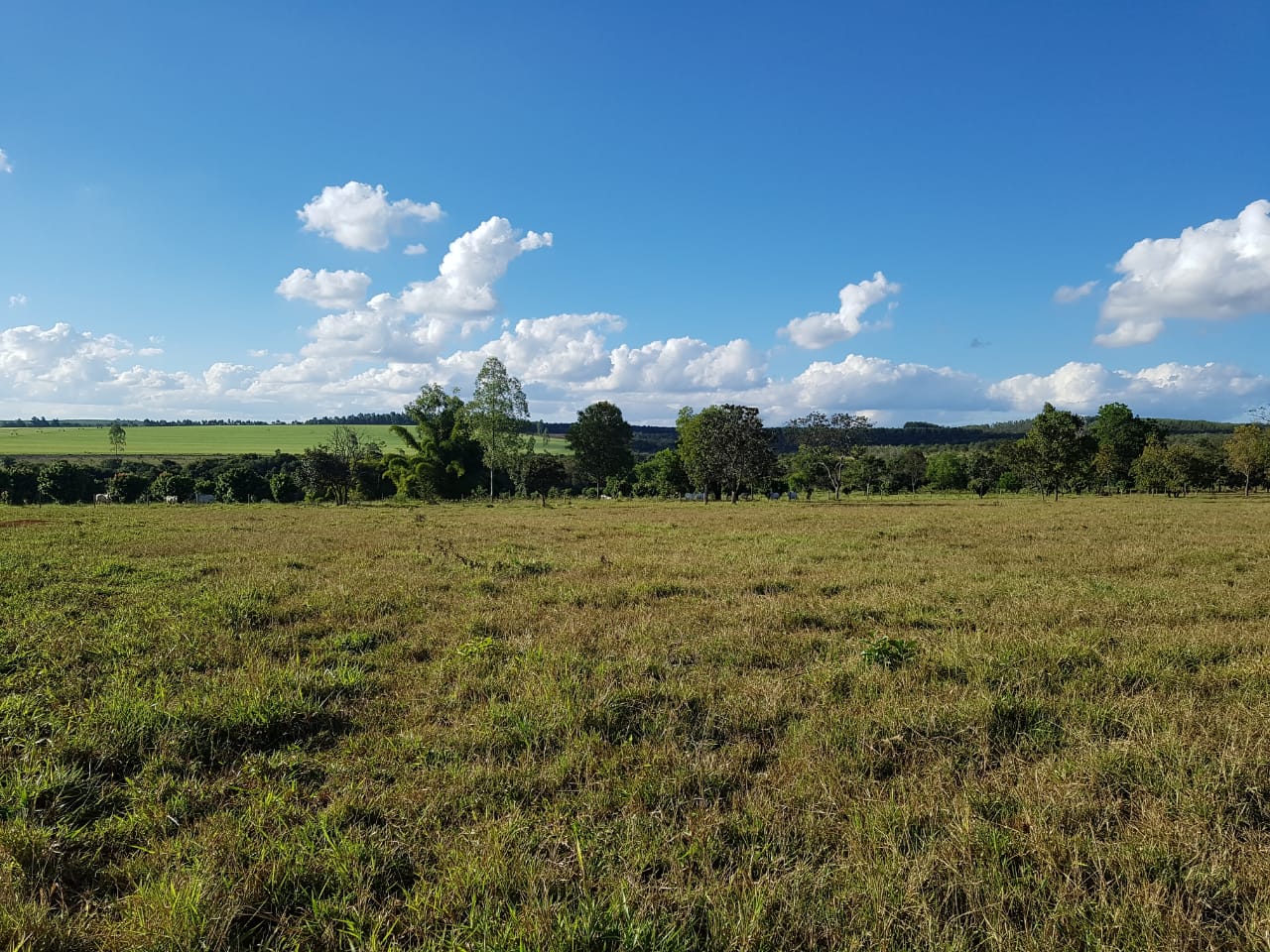 F-63 FAZENDA PARAOPEBA 238 HA