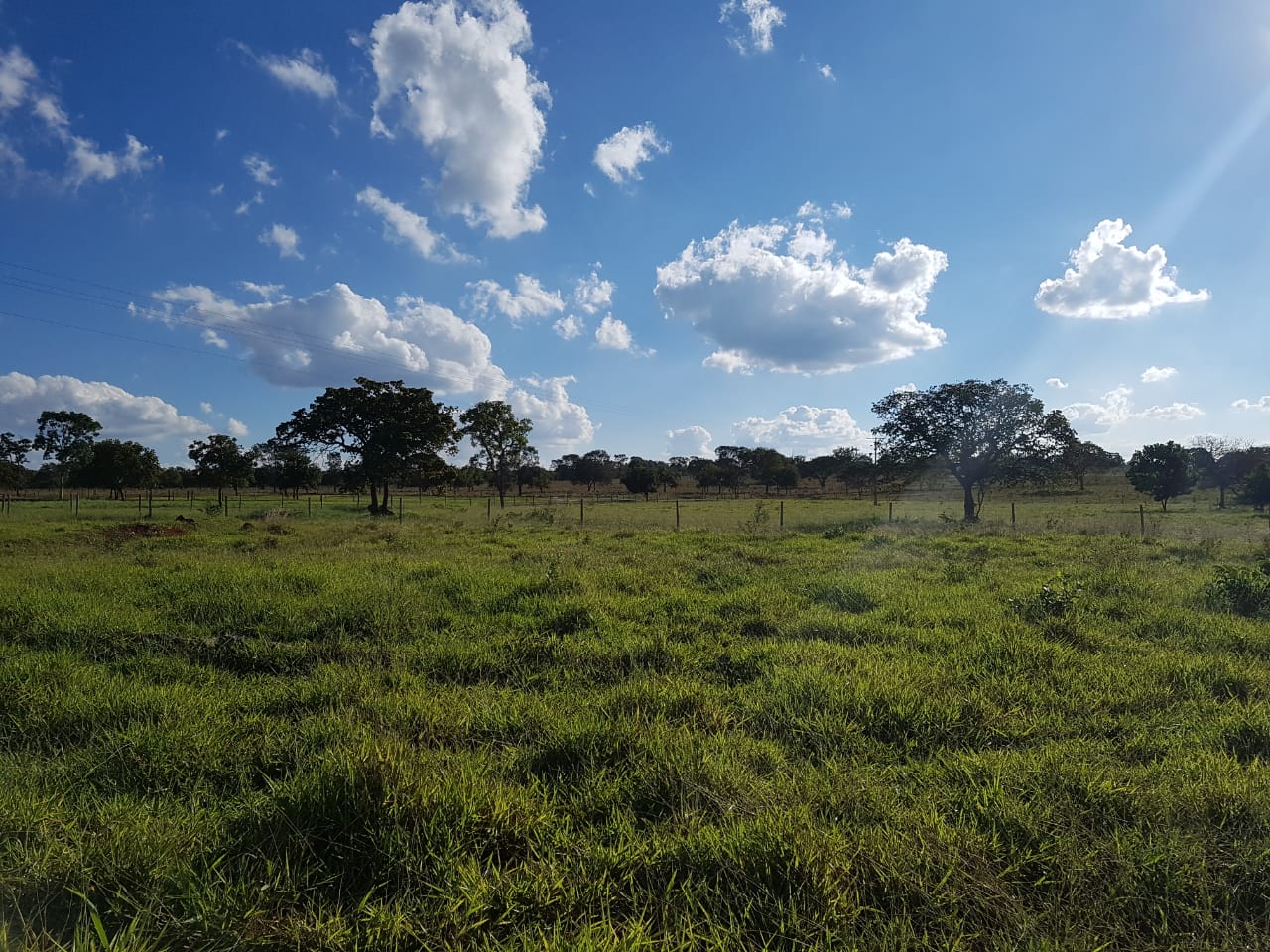 F-63 FAZENDA PARAOPEBA 238 HA