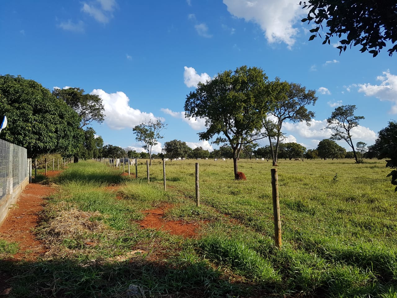 F-63 FAZENDA PARAOPEBA 238 HA