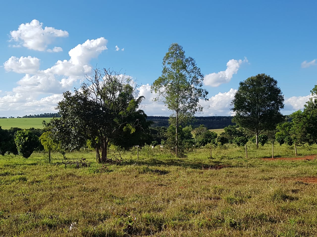 F-63 FAZENDA PARAOPEBA 238 HA