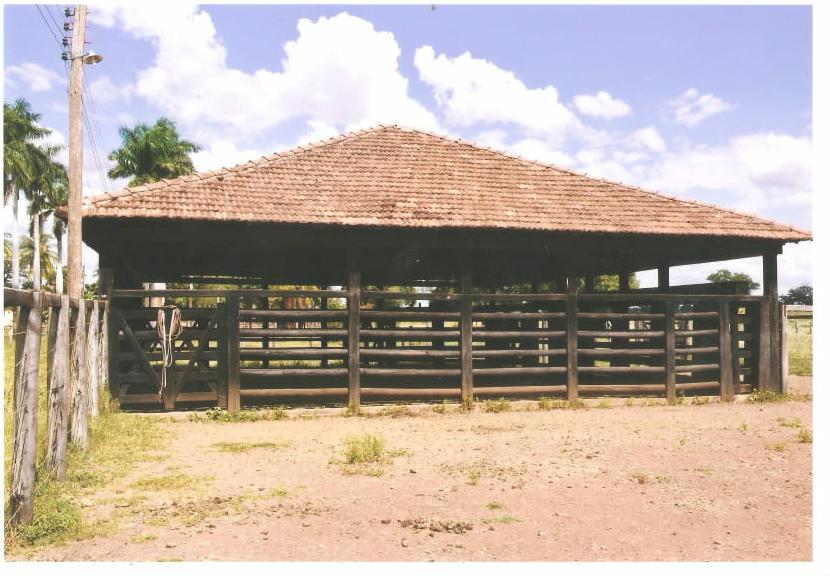 F-64 FAZENDA MONTES CLAROS 1620 HA