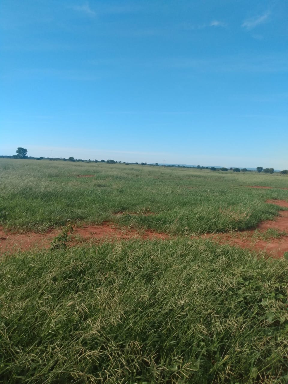 F-64 FAZENDA MONTES CLAROS 1620 HA