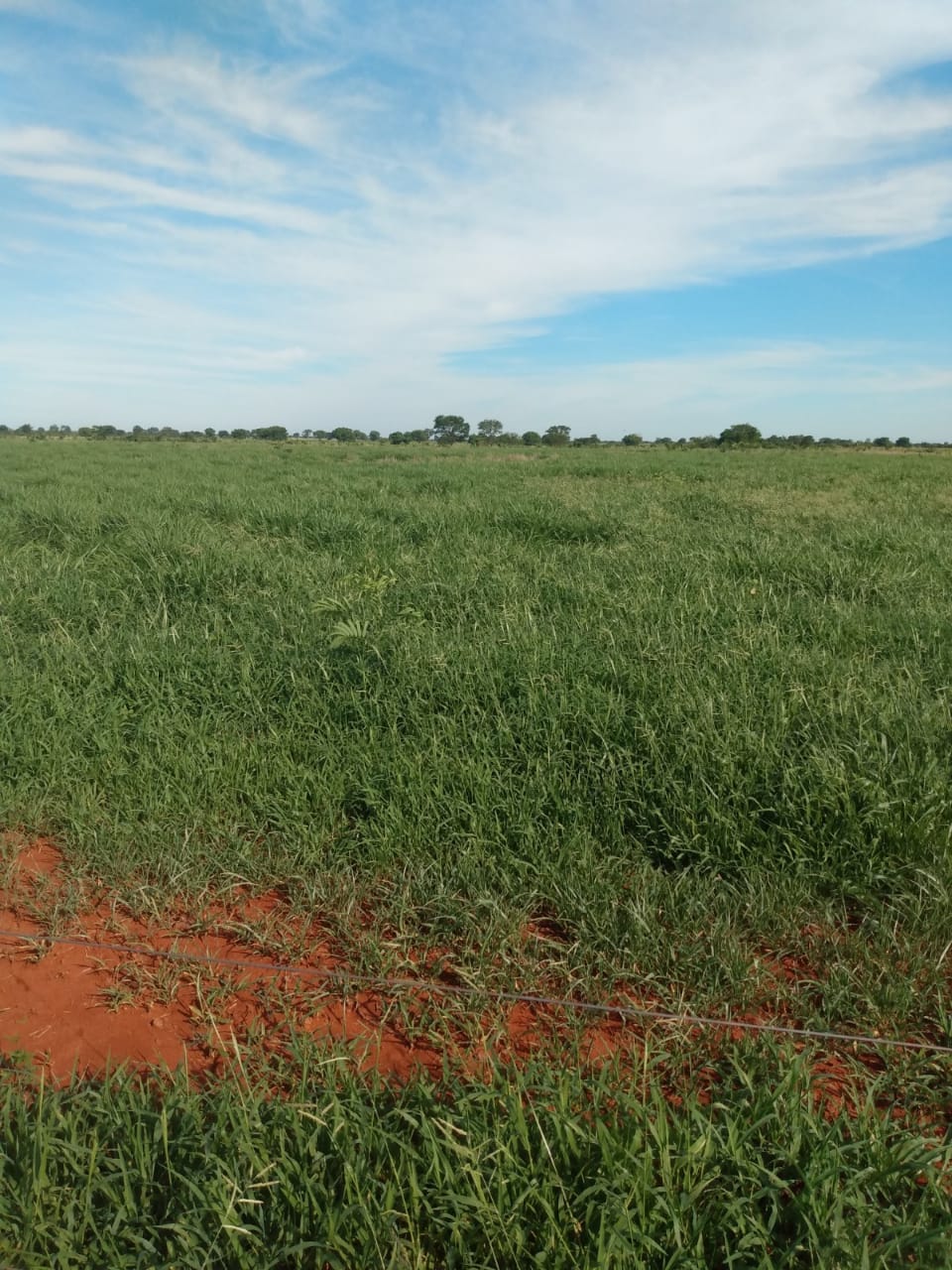 F-64 FAZENDA MONTES CLAROS 1620 HA