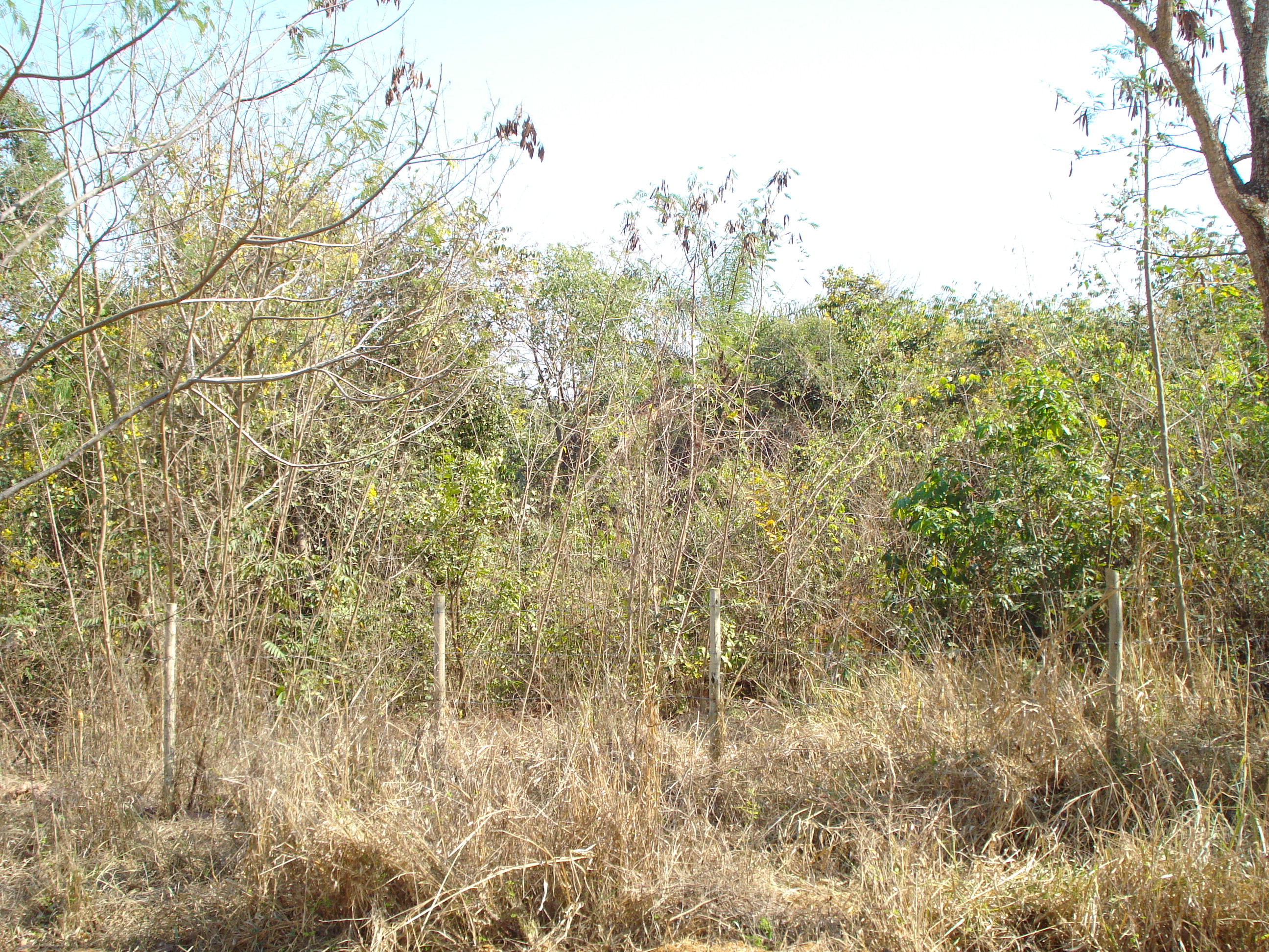 Lote – L 04-  1.000m2 Pedro Leopoldo MG