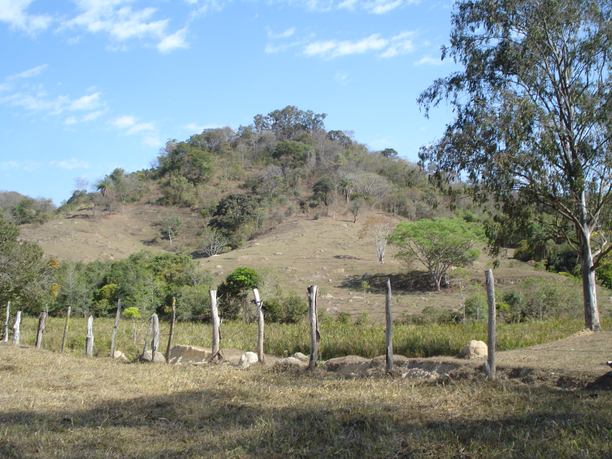 F-71 Fazenda 110ha Matozinhos MG