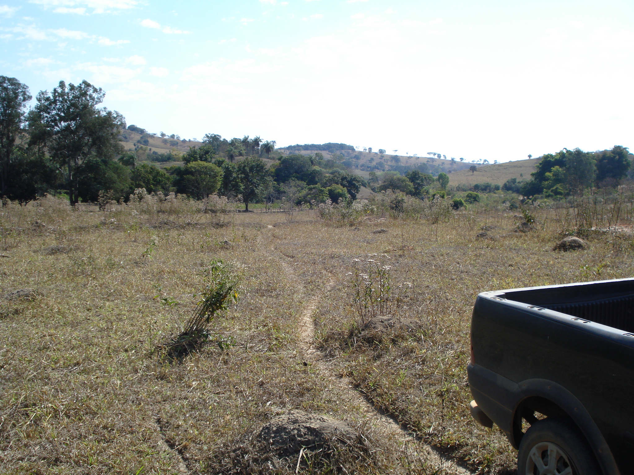 F-71 Fazenda 110ha Matozinhos MG