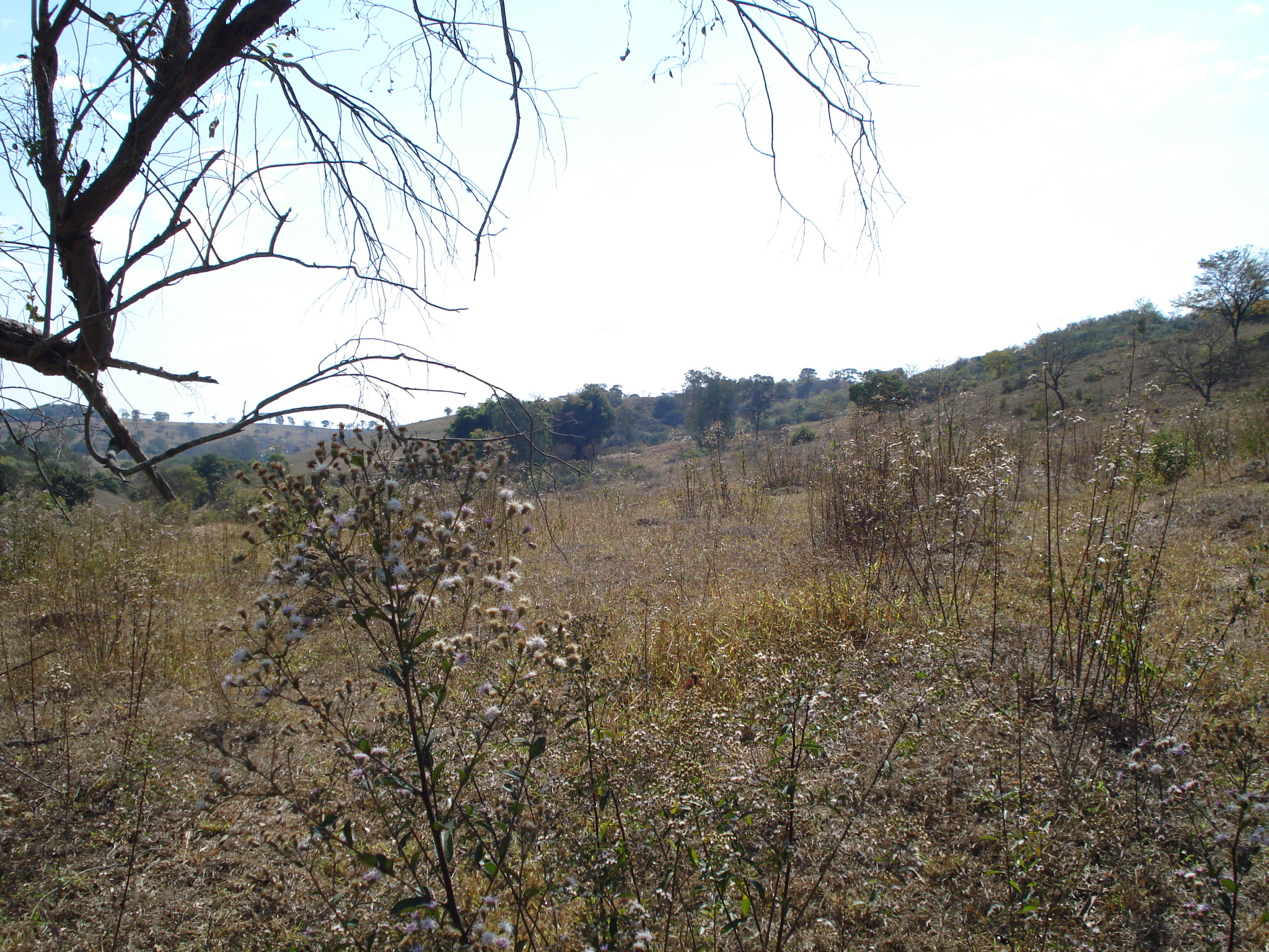 F-71 Fazenda 110ha Matozinhos MG