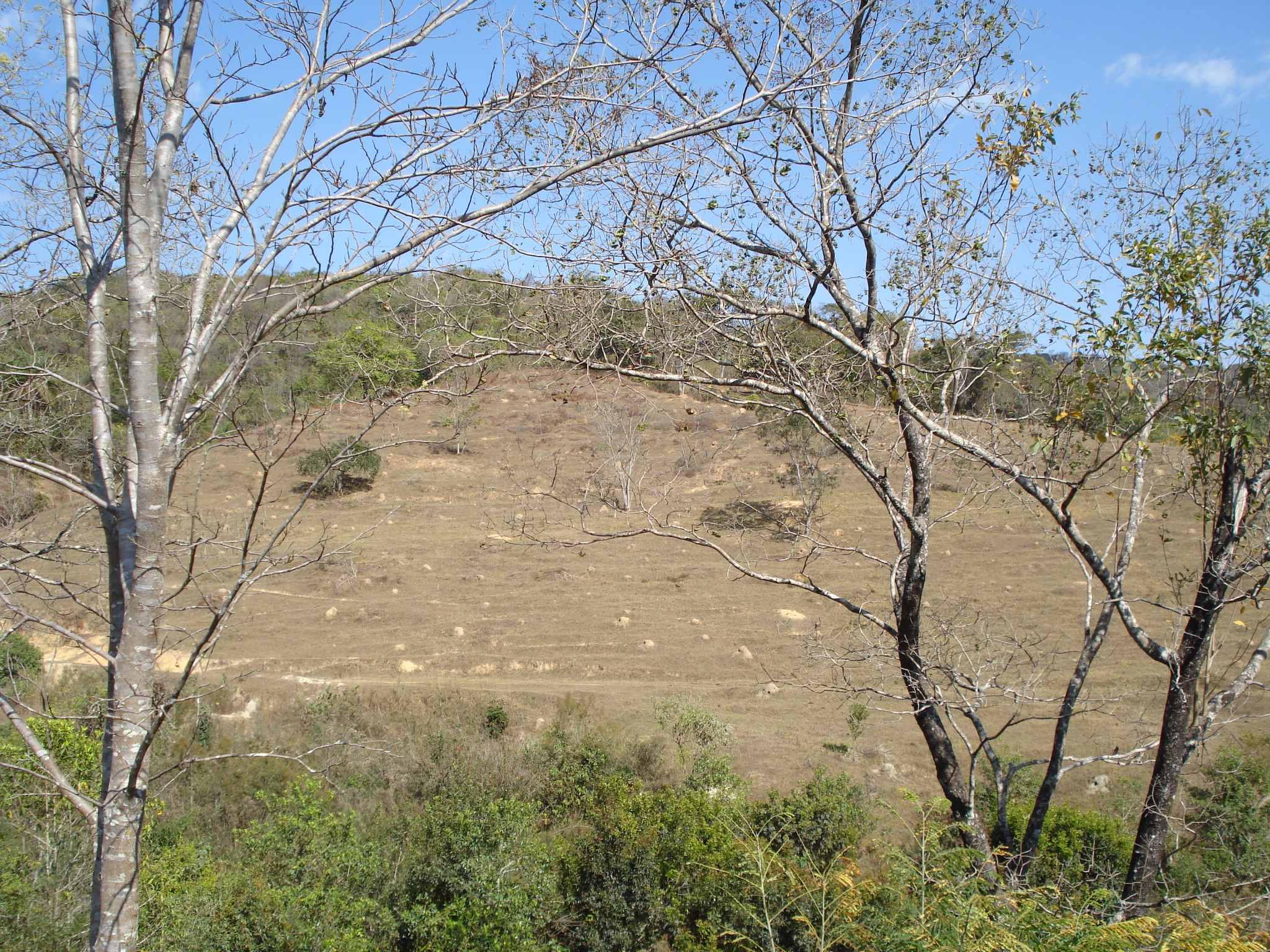 F-71 Fazenda 110ha Matozinhos MG