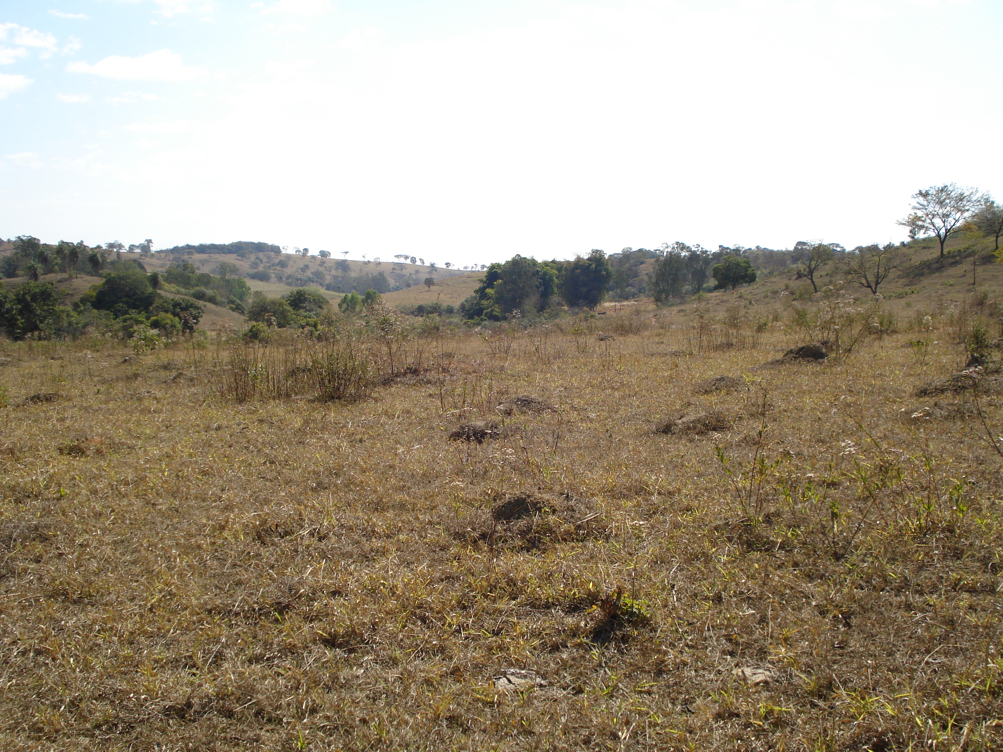 F-71 Fazenda 110ha Matozinhos MG