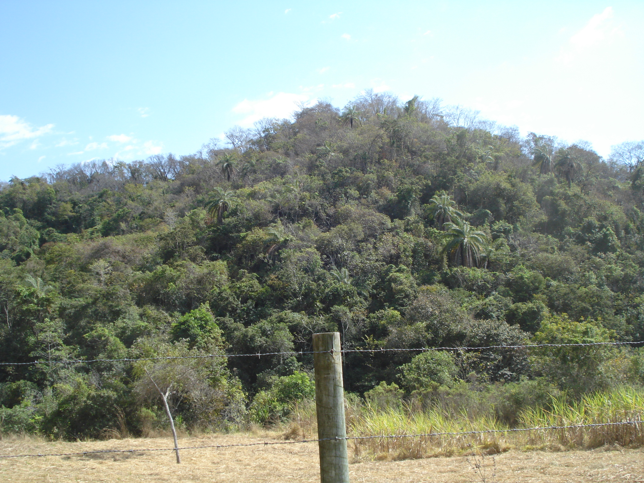 F-71 Fazenda 110ha Matozinhos MG