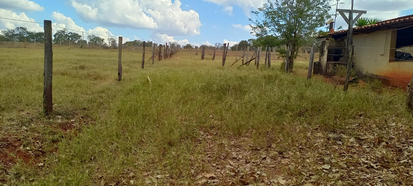 F-88 FAZENDA 75 HA FELIXLÂNDIA