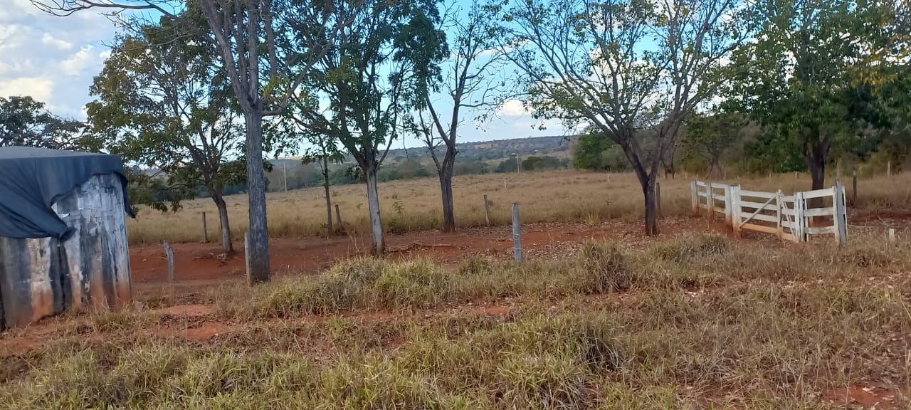 F-88 FAZENDA 75 HA FELIXLÂNDIA