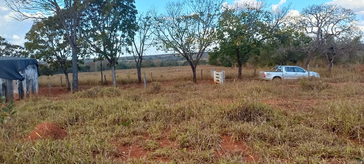 F-88 FAZENDA 75 HA FELIXLÂNDIA