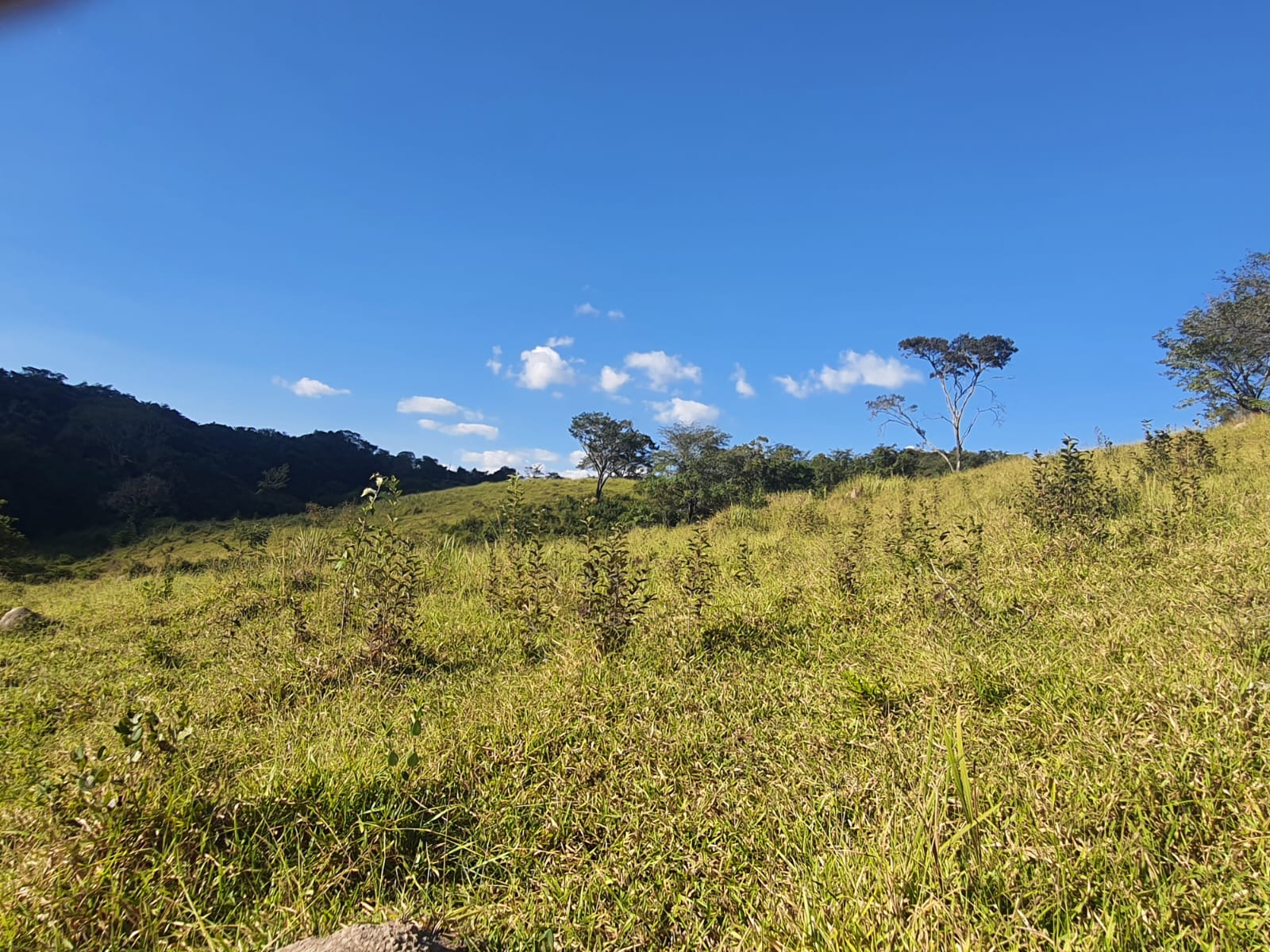 F-102 FAZENDA 31,2 HECTARES PEDRO LEOPOLDO MG