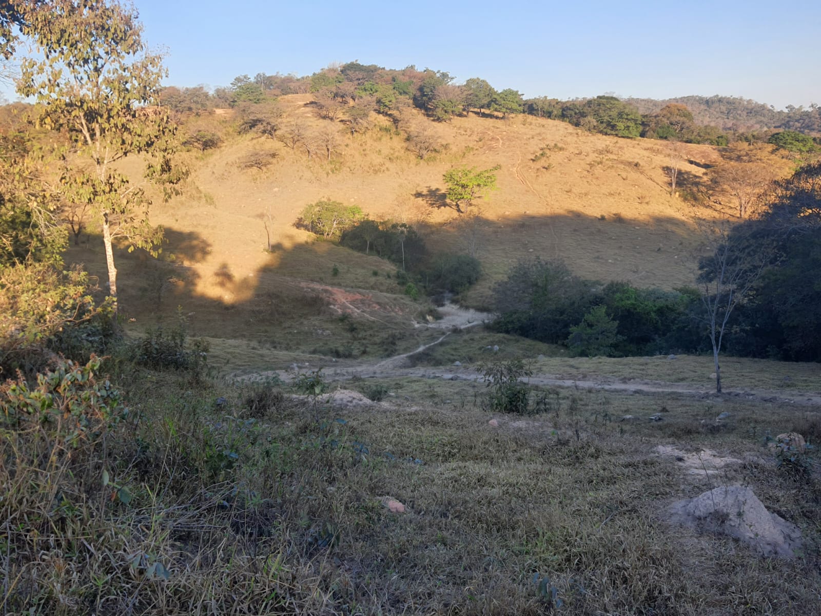 F-102 FAZENDA 31,2 HECTARES PEDRO LEOPOLDO MG