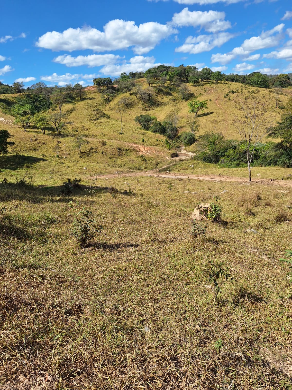 F-102 FAZENDA 31,2 HECTARES PEDRO LEOPOLDO MG