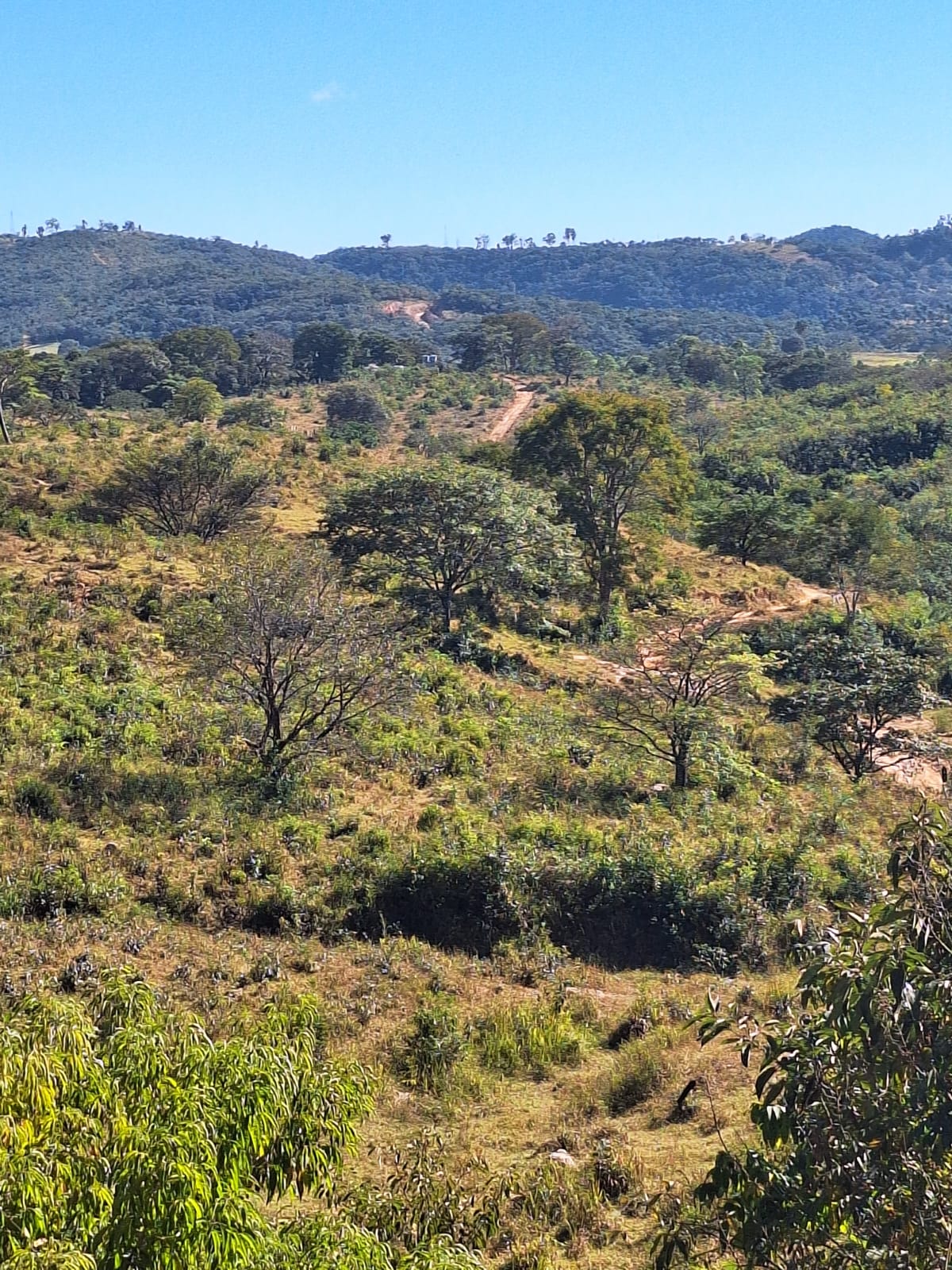 F-102 FAZENDA 31,2 HECTARES PEDRO LEOPOLDO MG