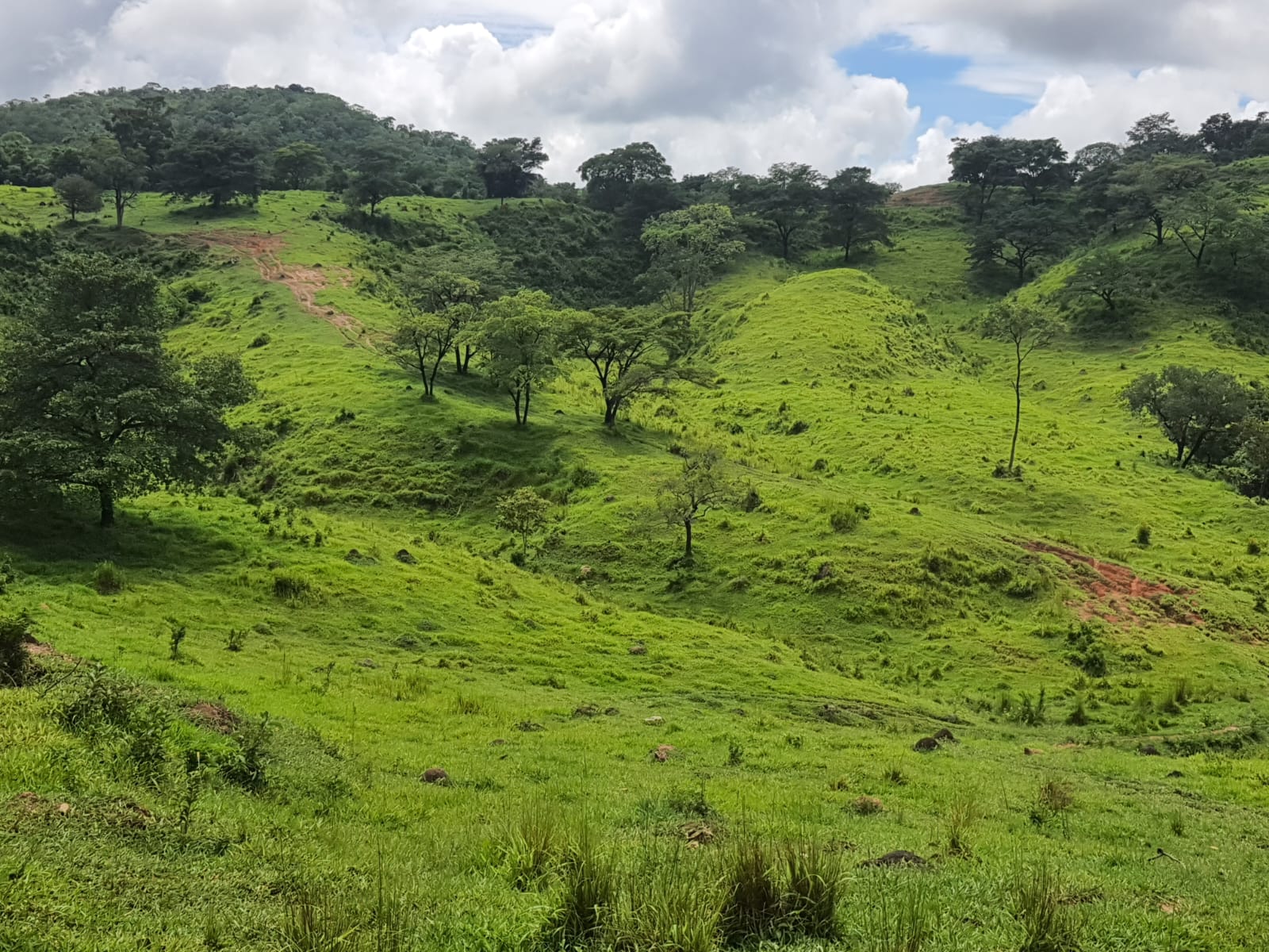 F-102 FAZENDA 31,2 HECTARES PEDRO LEOPOLDO MG