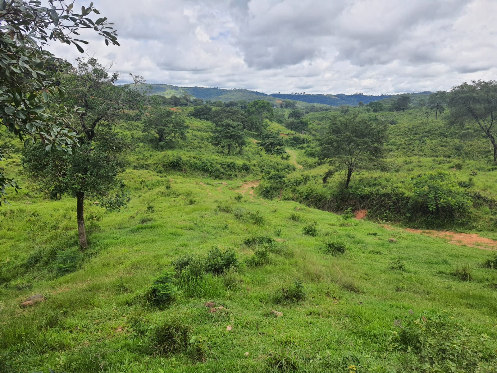 F-102 FAZENDA 31,2 HECTARES PEDRO LEOPOLDO MG