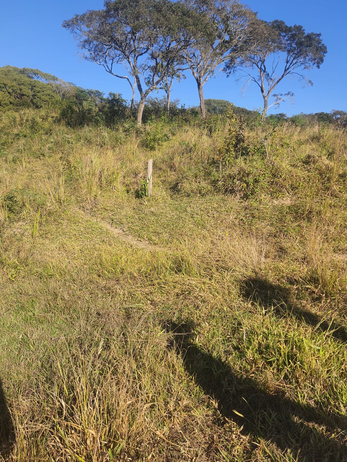 F-102 FAZENDA 31,2 HECTARES PEDRO LEOPOLDO MG