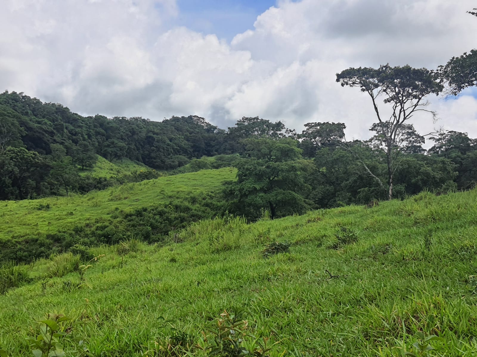 F-102 FAZENDA 31,2 HECTARES PEDRO LEOPOLDO MG