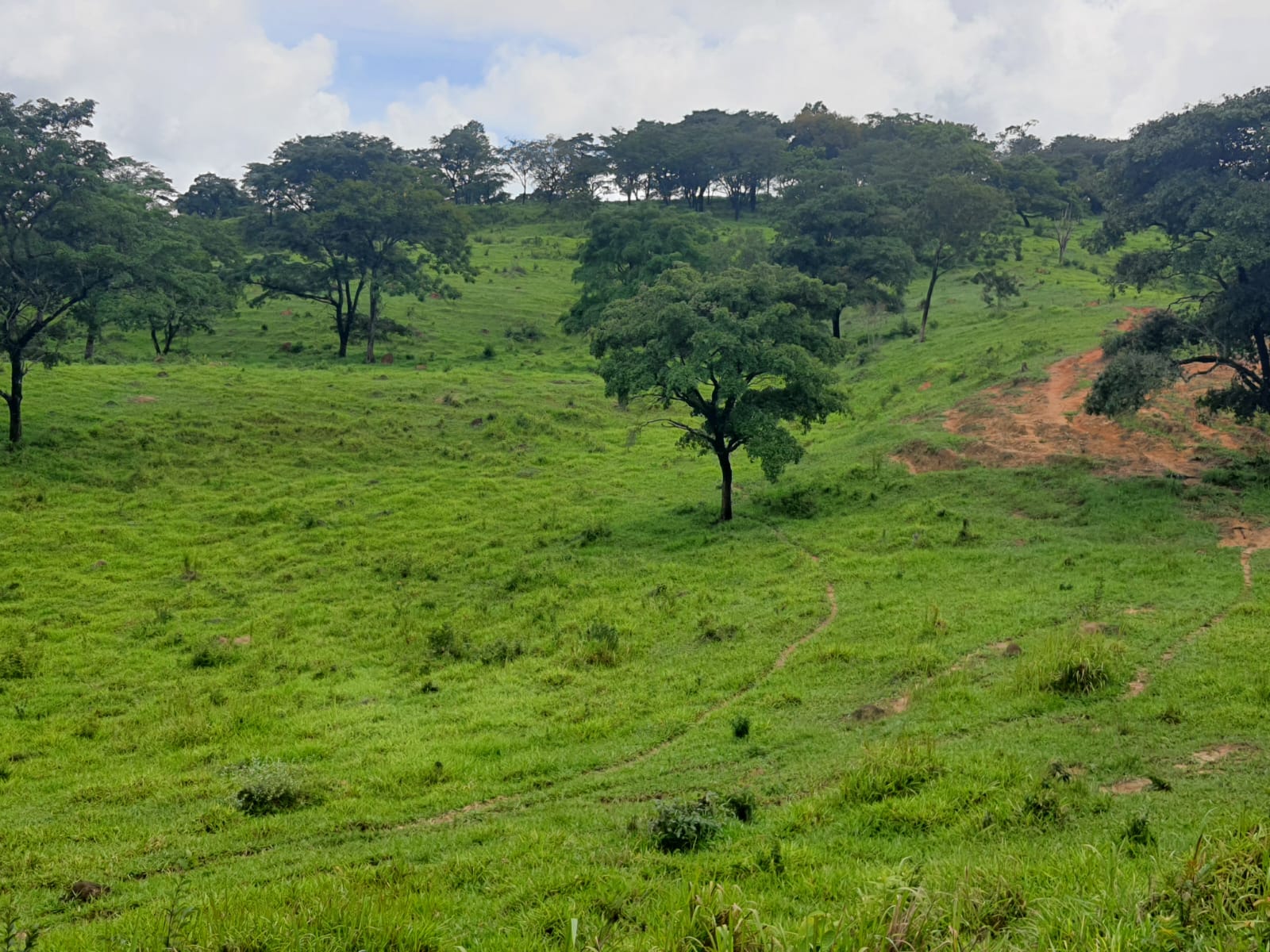 F-102 FAZENDA 31,2 HECTARES PEDRO LEOPOLDO MG