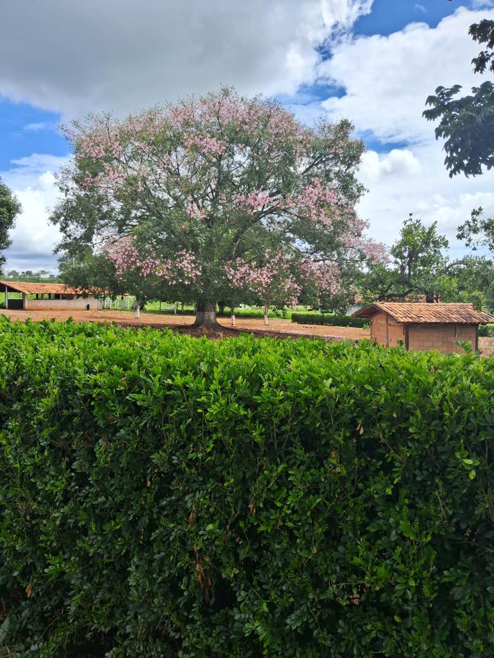 S-27 SITIO 5,9 HA PARAOPEBA