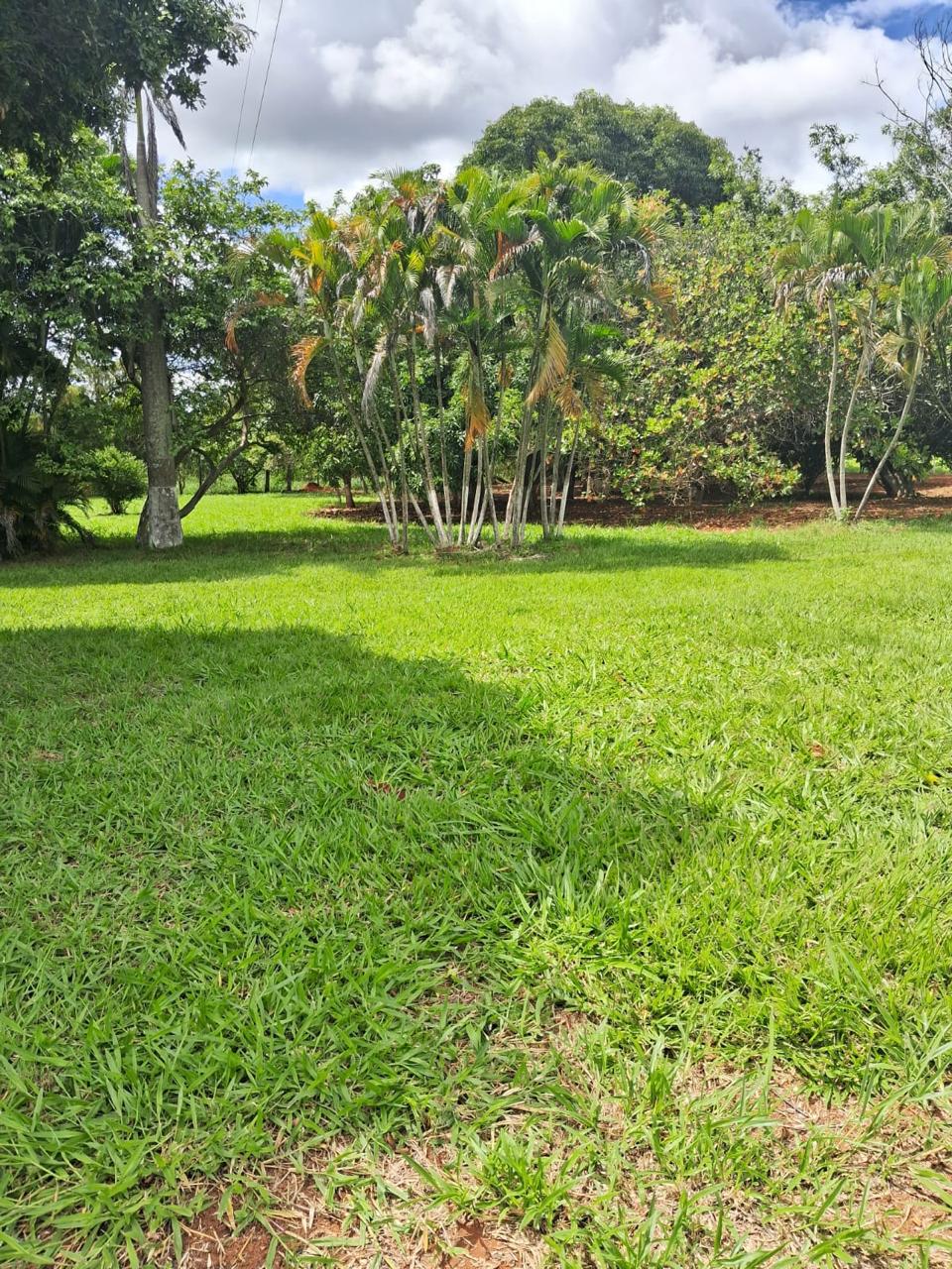 S-27 SITIO 5,9 HA PARAOPEBA